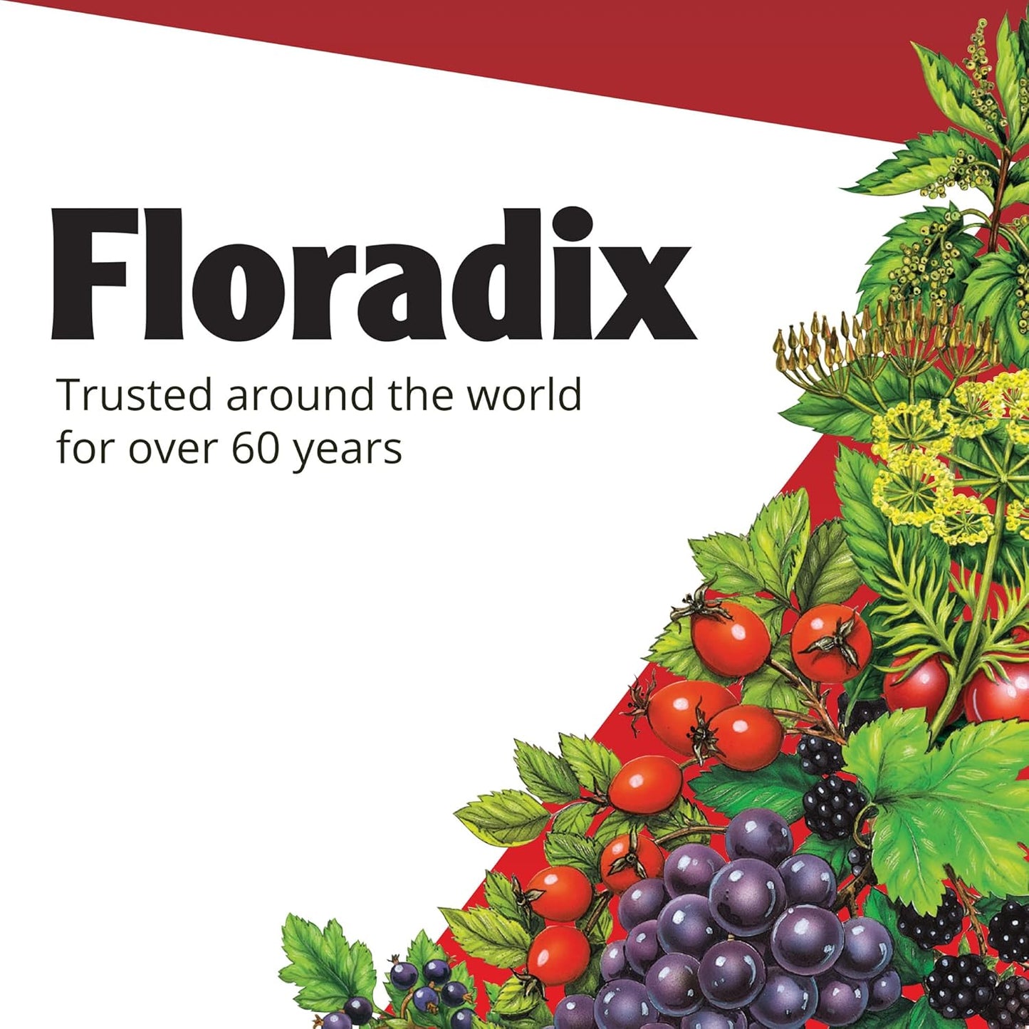 Organic Iron and Herb Supplement, 8.5 Fl Oz Glass Bottle - Floradix Formula
