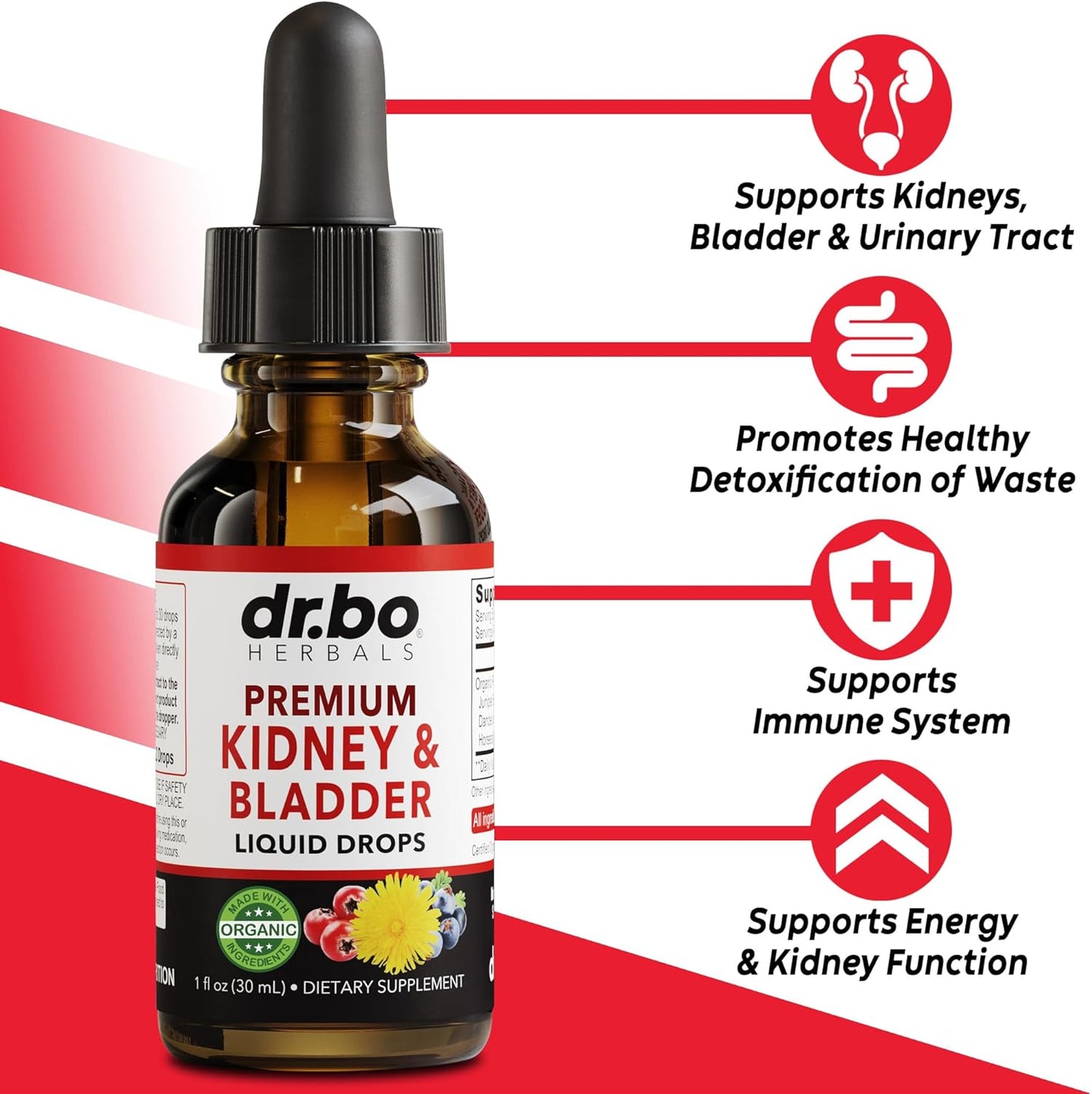 Organic Kidney Cleanse Detox Support Supplement - Bladder Health Drops with Juniper Berry, Cleavers, Dandelion & Cranberry - Renal & Urinary Tract Supplements for Kidneys