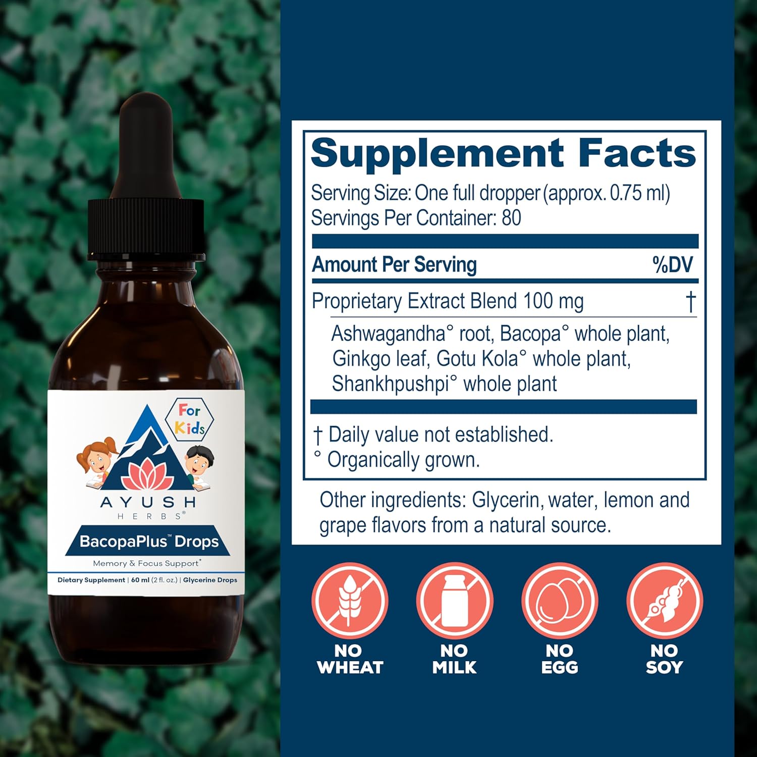 Organic Kids Focus & Attention Supplement with Bacopa, Ashwagandha, Ginkgo - Ayush Herbs BacopaPlus Drops - Brain & Memory Support - 2 Fl Oz