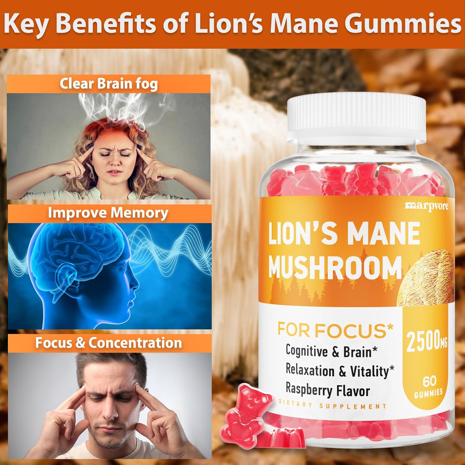 Organic Lions Mane & Ashwagandha Gummies for Memory, Focus & Immune Support - 60 Mushroom Gummies