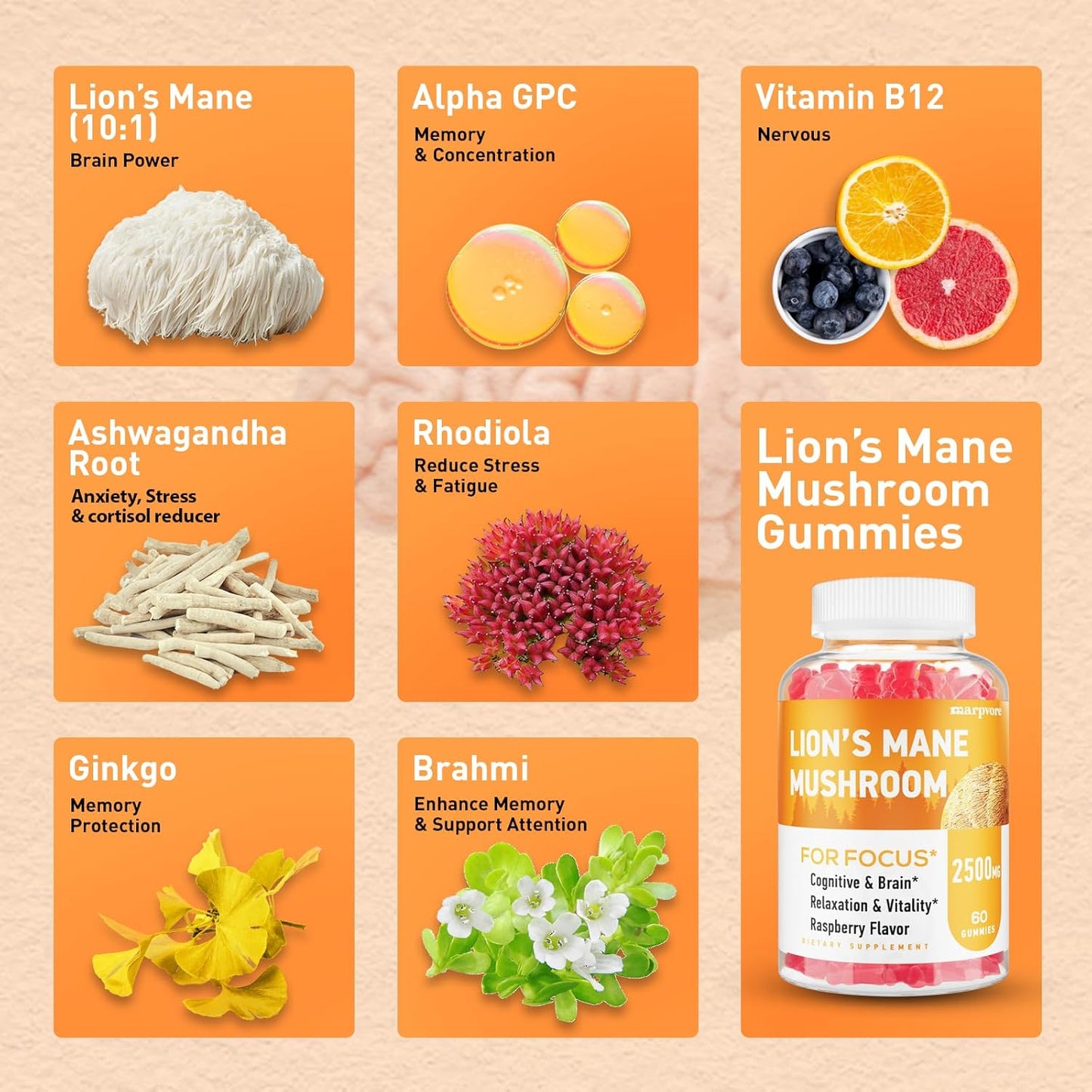 Organic Lions Mane & Ashwagandha Gummies for Memory, Focus & Immune Support - 60 Mushroom Gummies