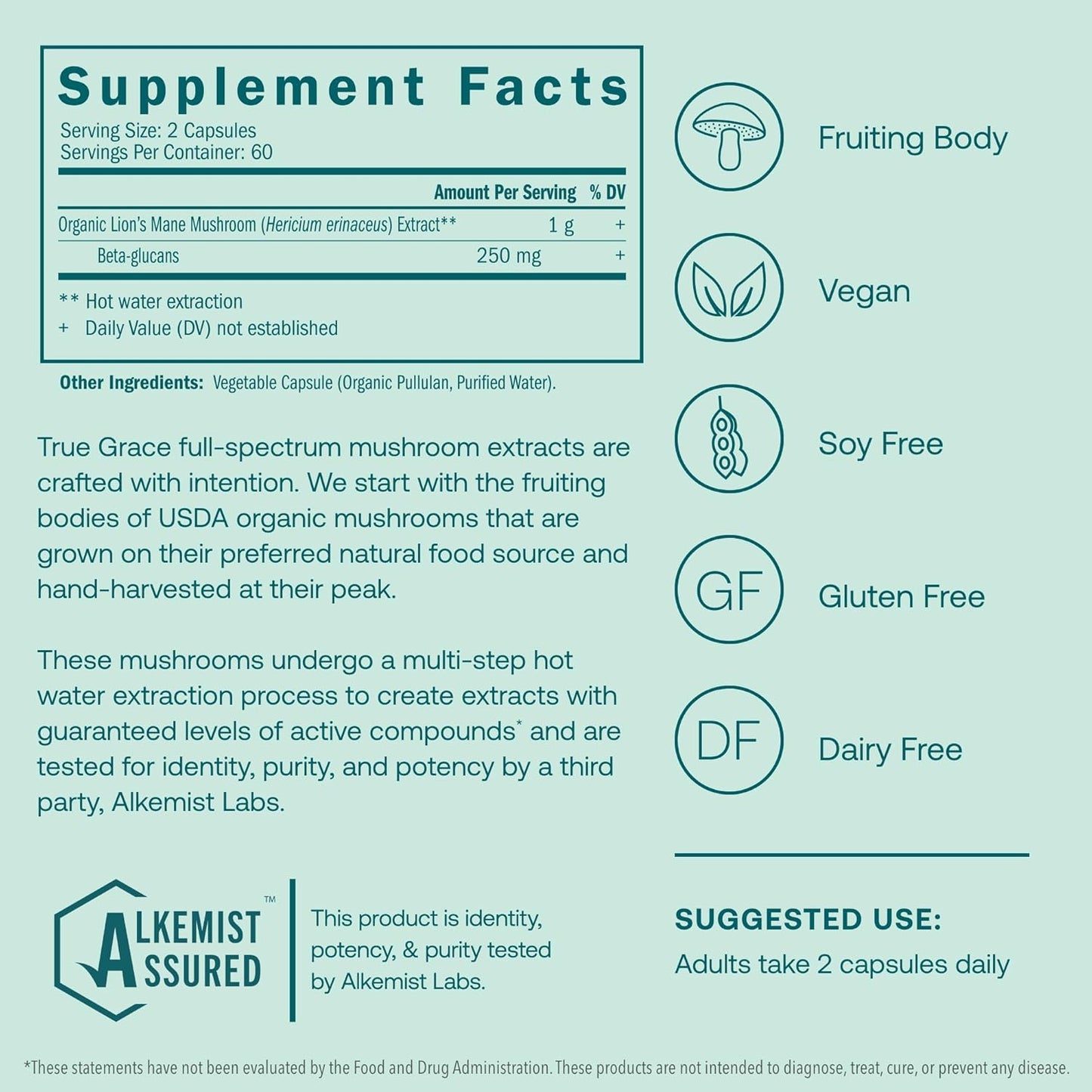 Organic Lion's Mane Brain, Nerve, and Cognitive Support Capsules - 120 Count by True Grace Mushroom