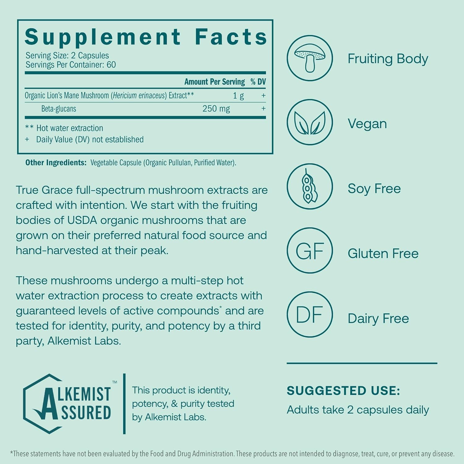 Organic Lion's Mane Brain, Nerve, and Cognitive Support Capsules - 120 Count by True Grace Mushroom