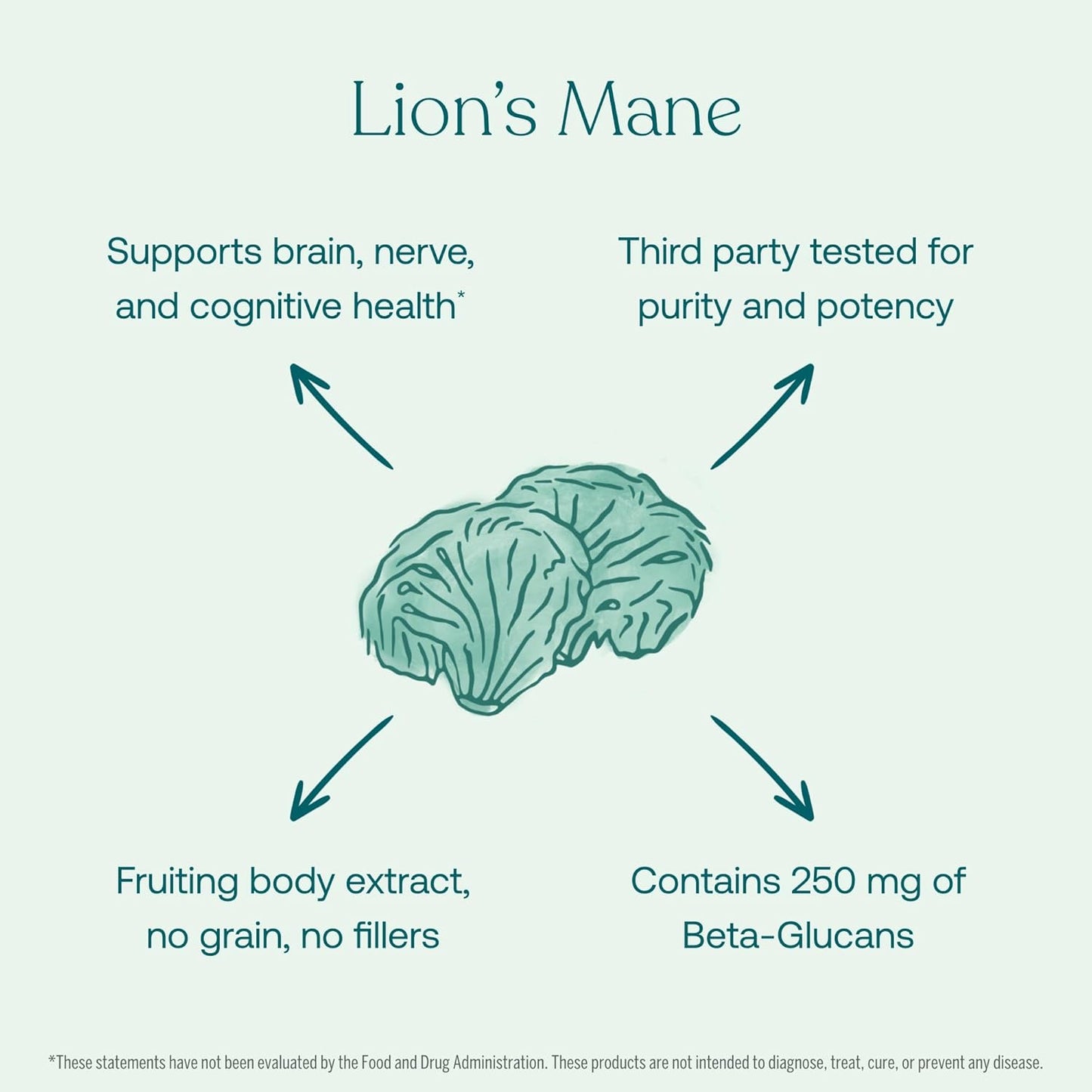Organic Lion's Mane Brain, Nerve, and Cognitive Support Capsules - 120 Count by True Grace Mushroom