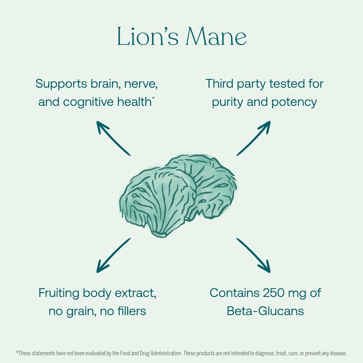 Organic Lion's Mane Brain, Nerve, and Cognitive Support Capsules - 120 Count by True Grace Mushroom