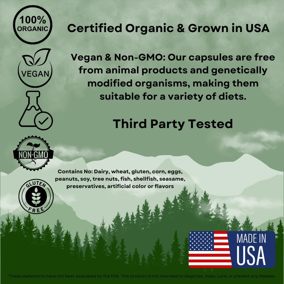 Organic Lion’s Mane Mushroom Capsules for Brain Health & Focus - Cognitive Support, Nerve & Mood Health - 100% Pure, Vegan, Non-GMO - 60 Capsules