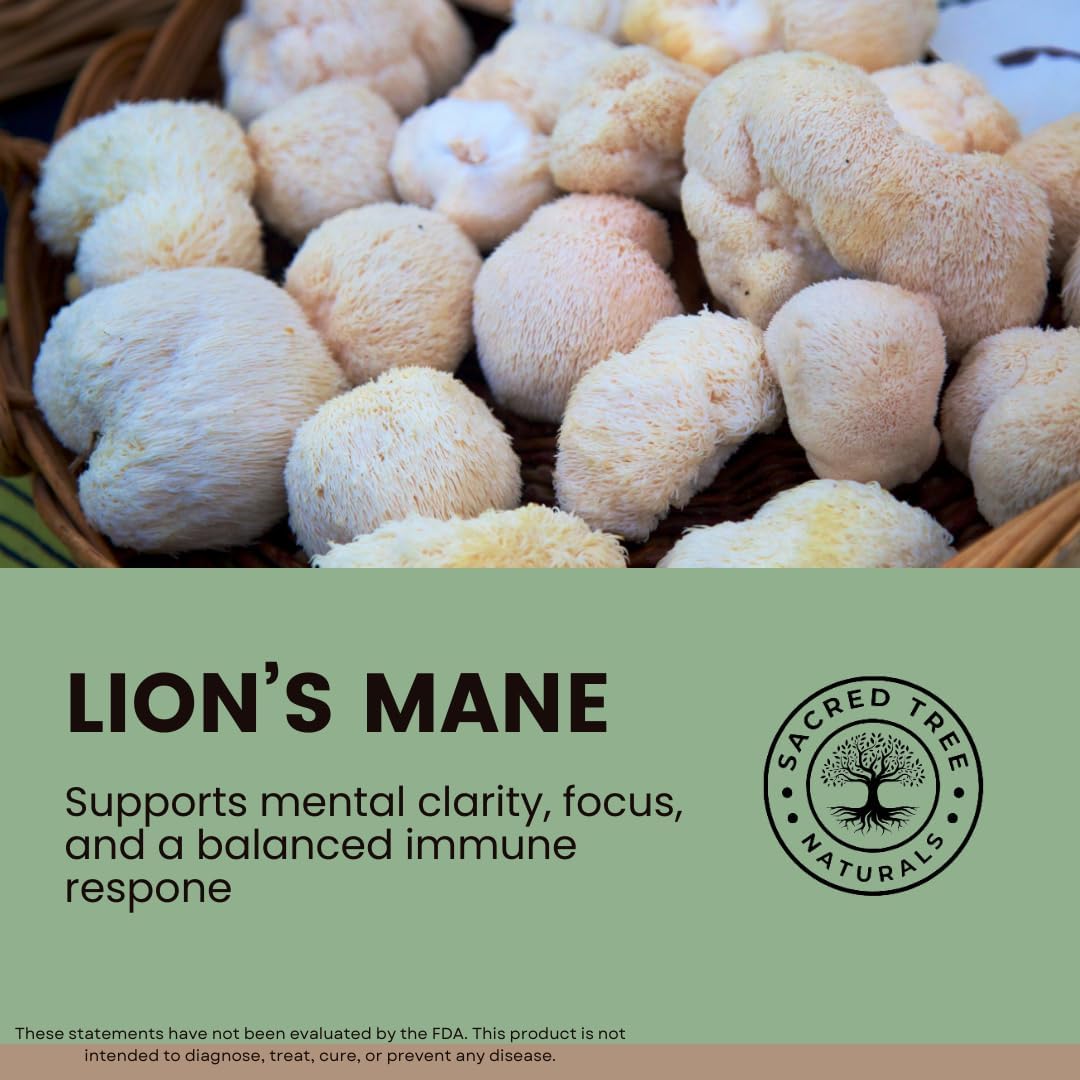 Organic Lion’s Mane Mushroom Capsules for Brain Health & Focus - Cognitive Support, Nerve & Mood Health - 100% Pure, Vegan, Non-GMO - 60 Capsules