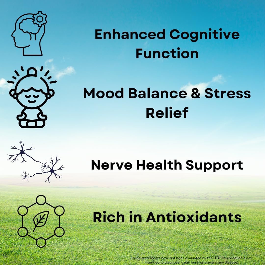Organic Lion’s Mane Mushroom Capsules for Brain Health & Focus - Cognitive Support, Nerve & Mood Health - 100% Pure, Vegan, Non-GMO - 60 Capsules
