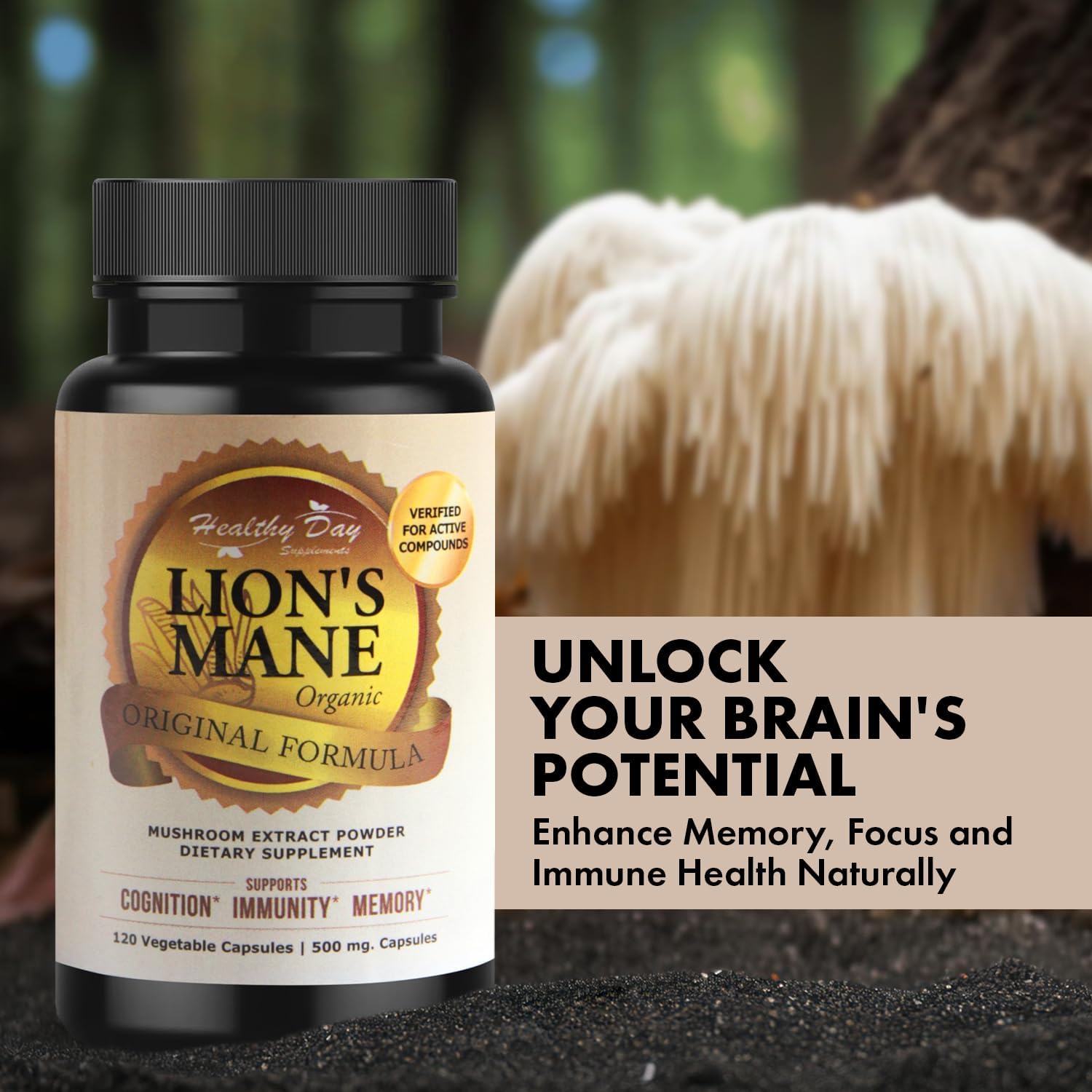 Organic Lion's Mane Mushroom Cognition Capsules - 120 Count | Gluten Free Brain Supplement | Focus Nootropic for Adults | Made in USA | Healthy Day Supplements