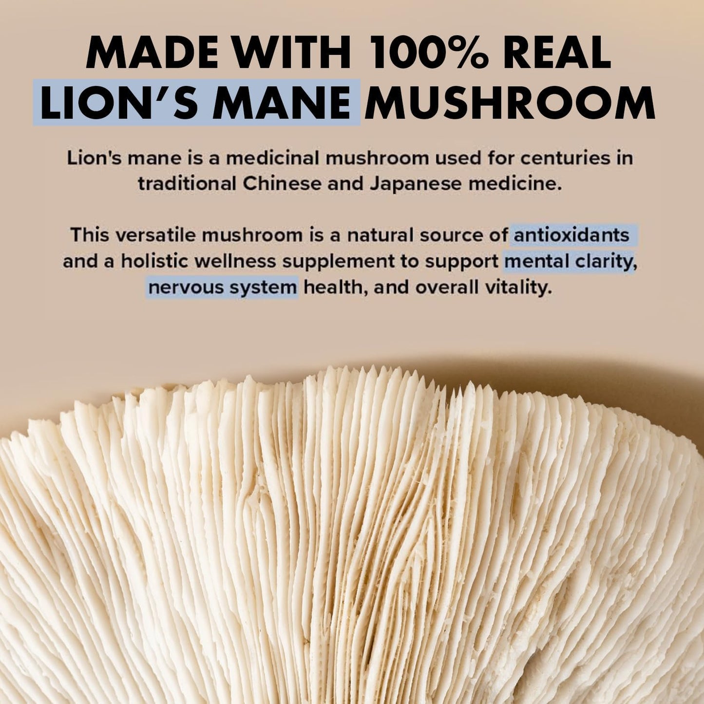 Organic Lion's Mane Mushroom Cognition Capsules - 120 Count | Gluten Free Brain Supplement | Focus Nootropic for Adults | Made in USA | Healthy Day Supplements