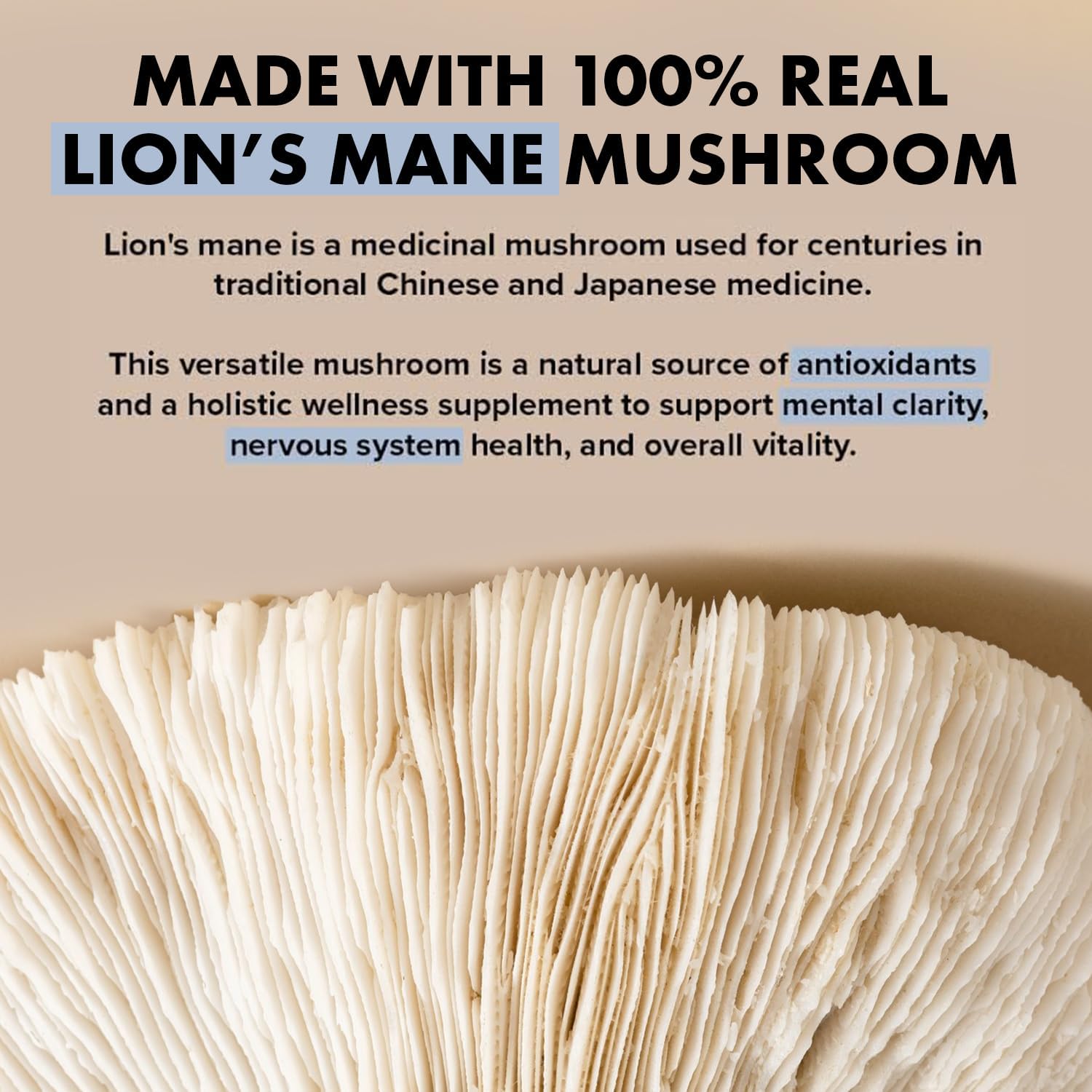 Organic Lion's Mane Mushroom Cognition Capsules - 120 Count | Gluten Free Brain Supplement | Focus Nootropic for Adults | Made in USA | Healthy Day Supplements