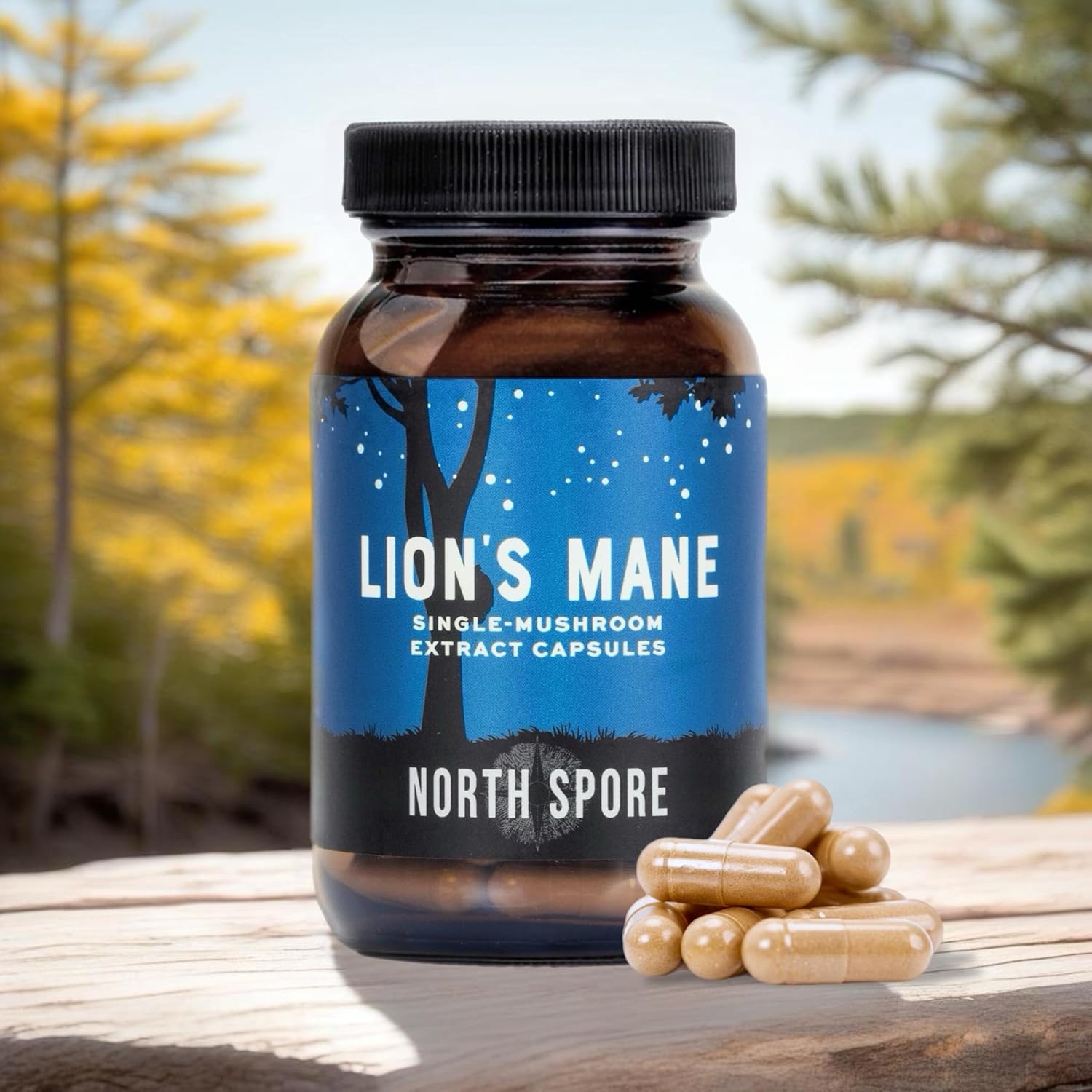 Organic Lion's Mane Mushroom Extract Capsules - 120ct | Boost Focus, Memory, Cognitive Function | Pure Organic Supplement Blend for Vitality