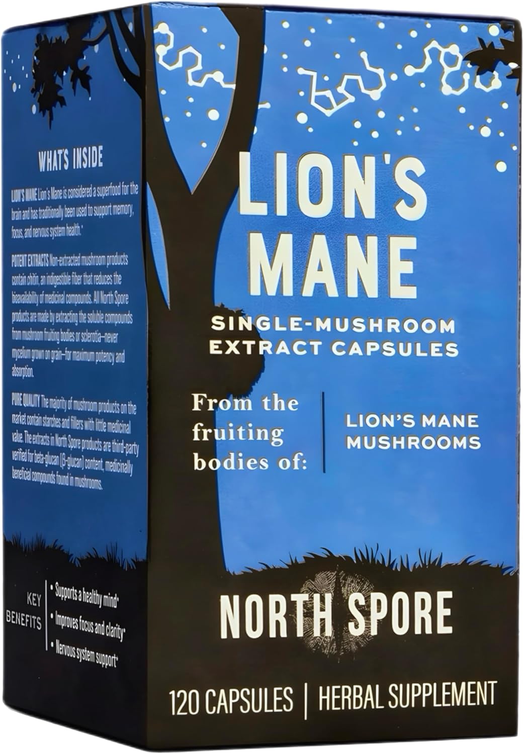 Organic Lion's Mane Mushroom Extract Capsules - 120ct | Boost Focus, Memory, Cognitive Function | Pure Organic Supplement Blend for Vitality
