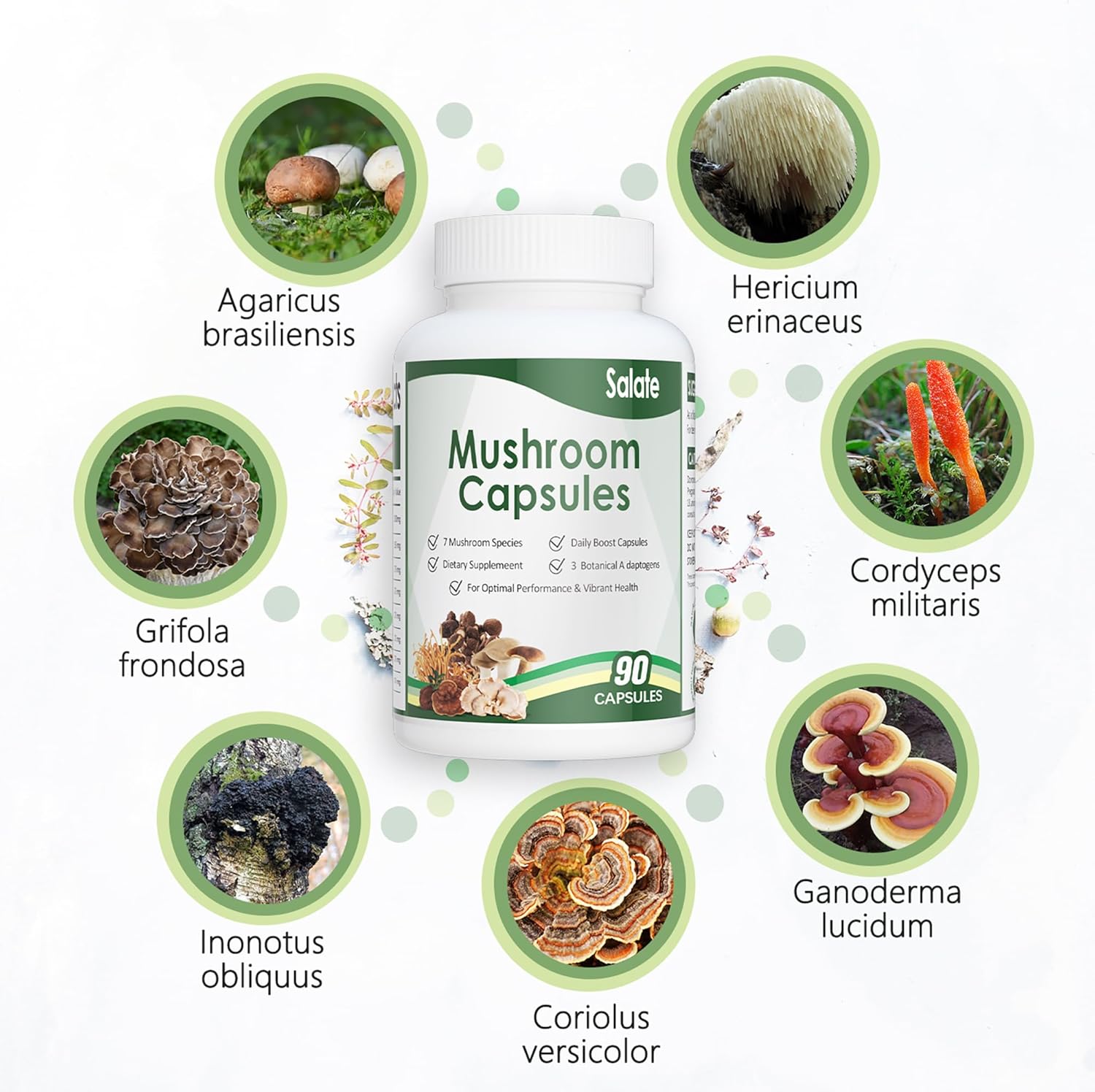 Organic Lion's Mane Mushroom Extract Capsules for Memory, Focus & Immune Support - 100% Fruit Body Extracts, Vegan (90 Caps)