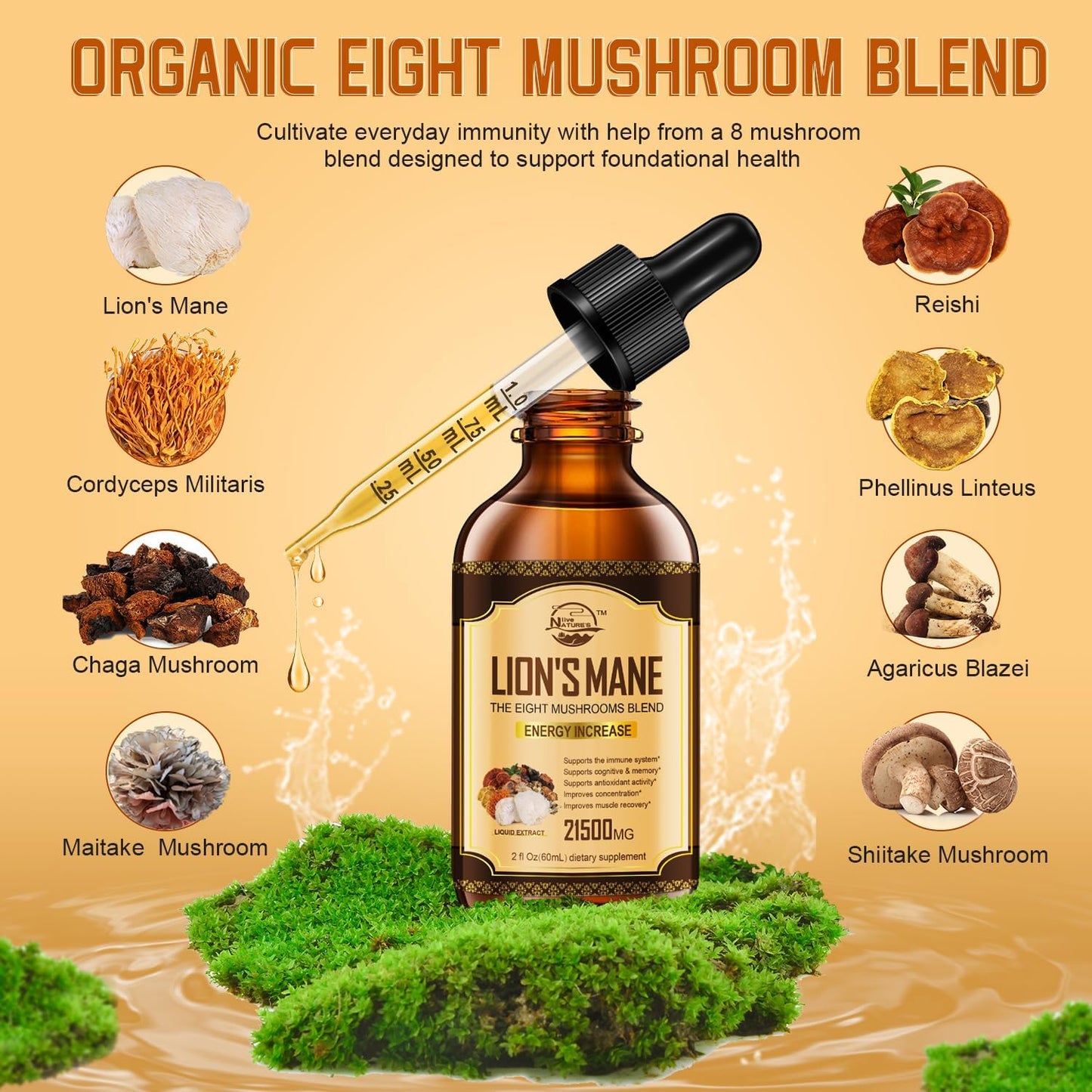 Organic Lions Mane & Mushroom Extract Drops for Immune Support, Memory, and Focus - 2 Pack