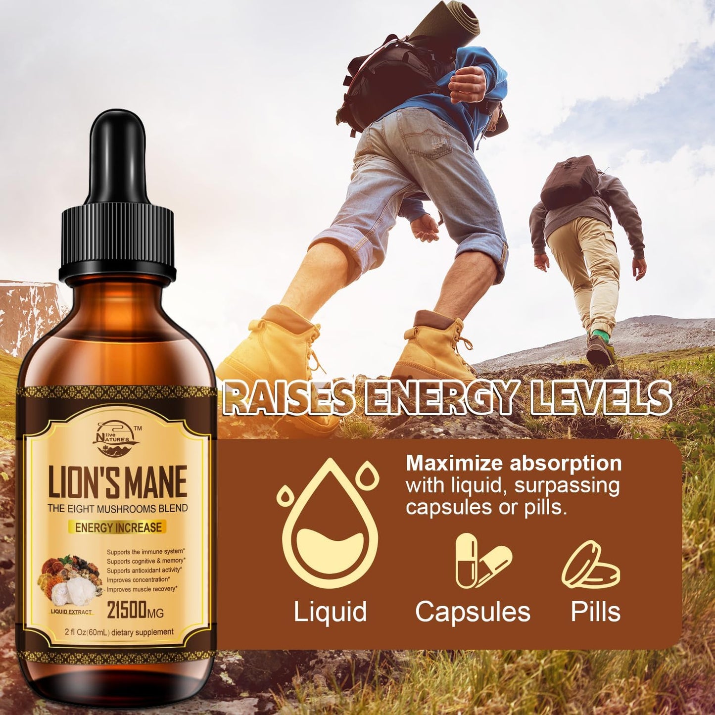 Organic Lions Mane & Mushroom Extract Drops for Immune Support, Memory, and Focus - 2 Pack