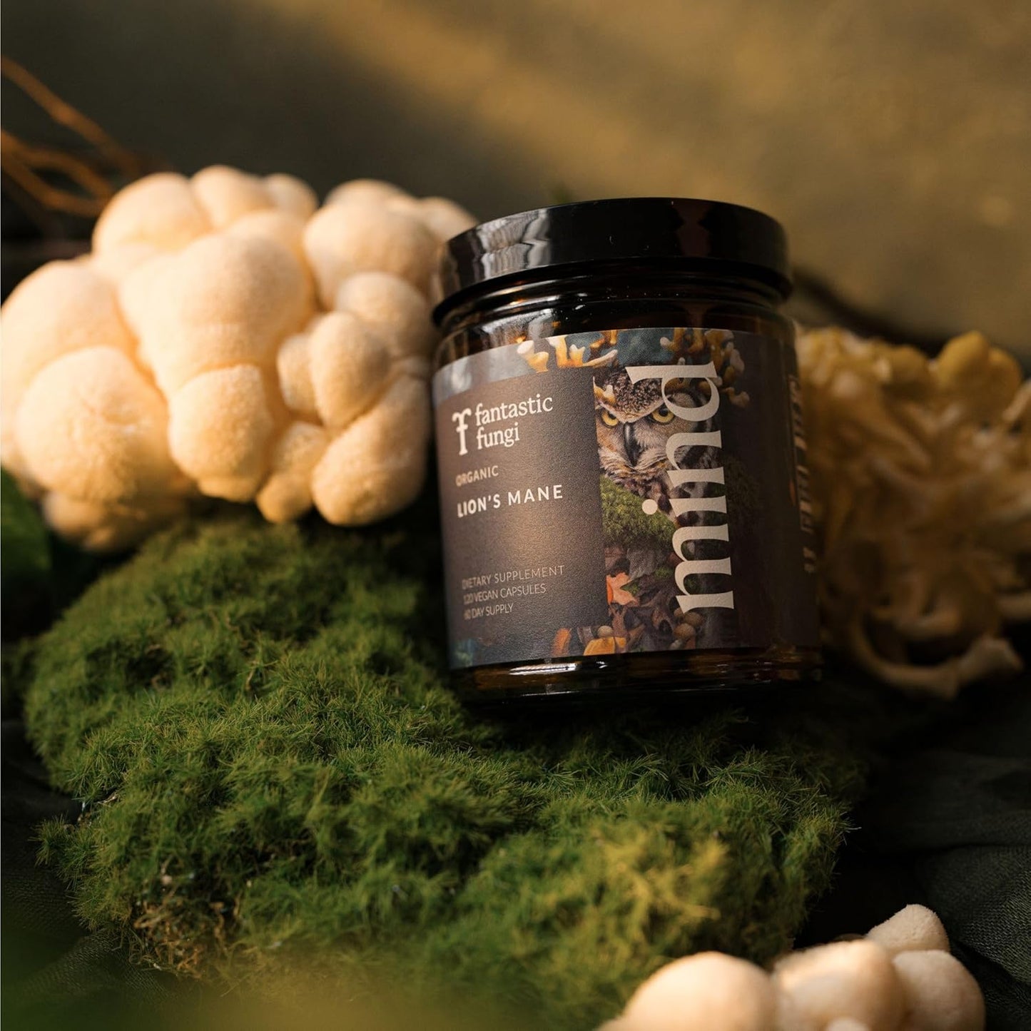 Organic Lion's Mane Mushroom Focus & Memory Supplement Capsules - 1000mg, 120 Capsules - Boost Brain Health & Cognitive Function
