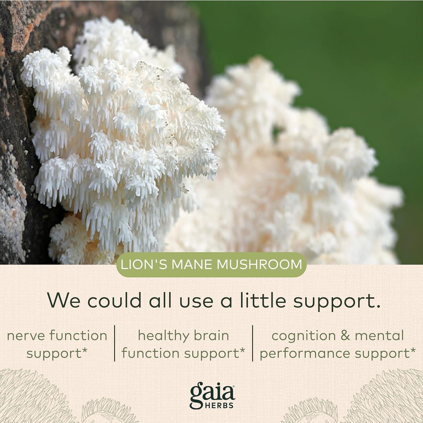 Organic Lion's Mane Mushroom Supplement for Brain & Nerve Health - 120 Vegan Capsules - Neurological Support Formula by Gaia Herbs