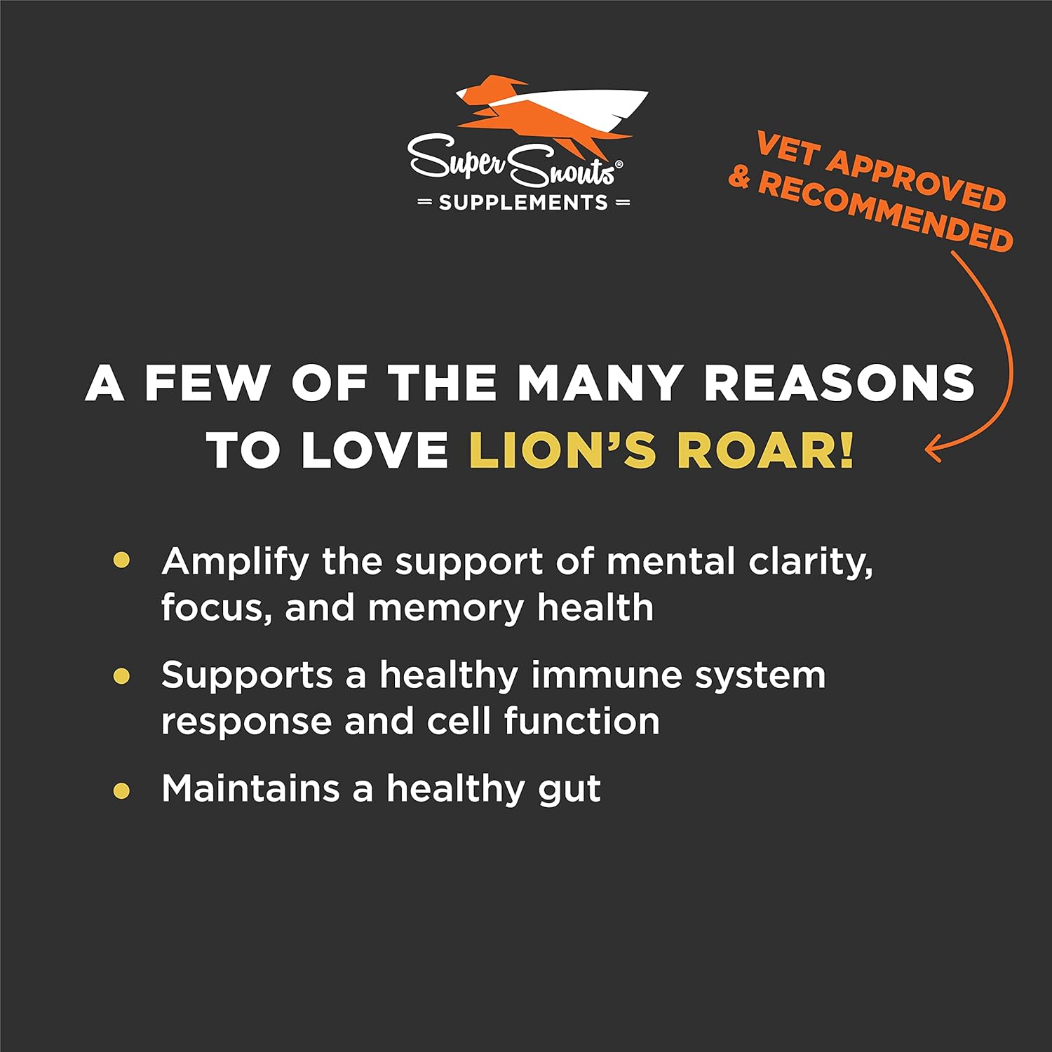Organic Lion's Mane Mushroom Supplement for Dogs and Cats - USA Made Cognitive Health Formula