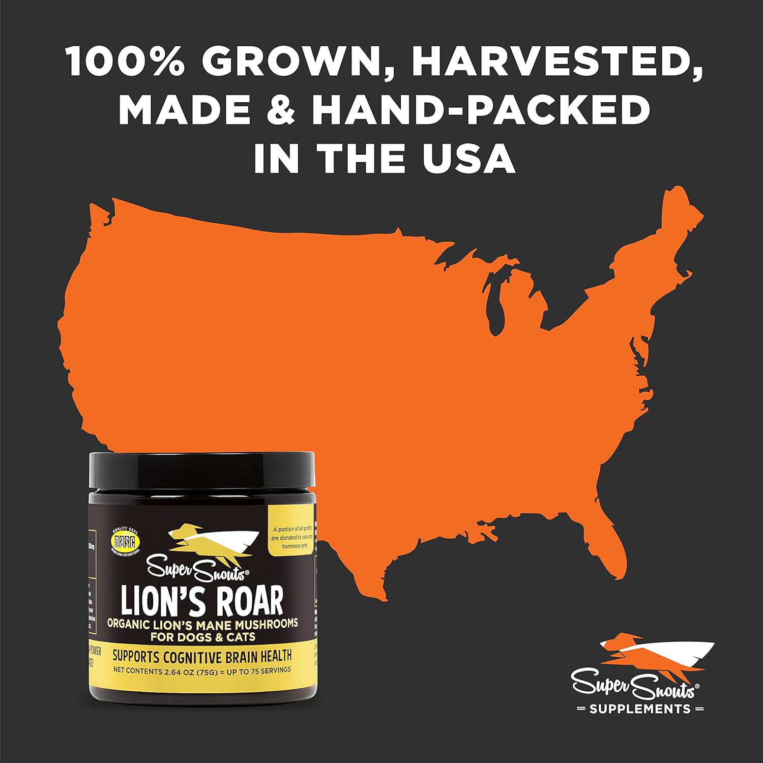 Organic Lion's Mane Mushroom Supplement for Dogs and Cats - USA Made Cognitive Health Formula