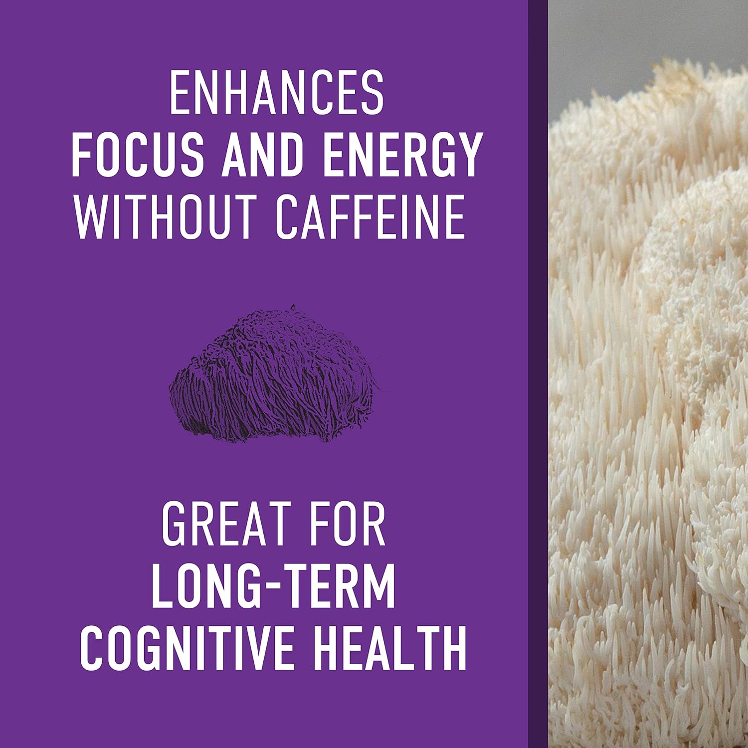 Organic Lions Mane Mushroom Supplement for Mental Clarity and Focus - 45g Extract Powder (30 Servings) - Boost Cognitive Function