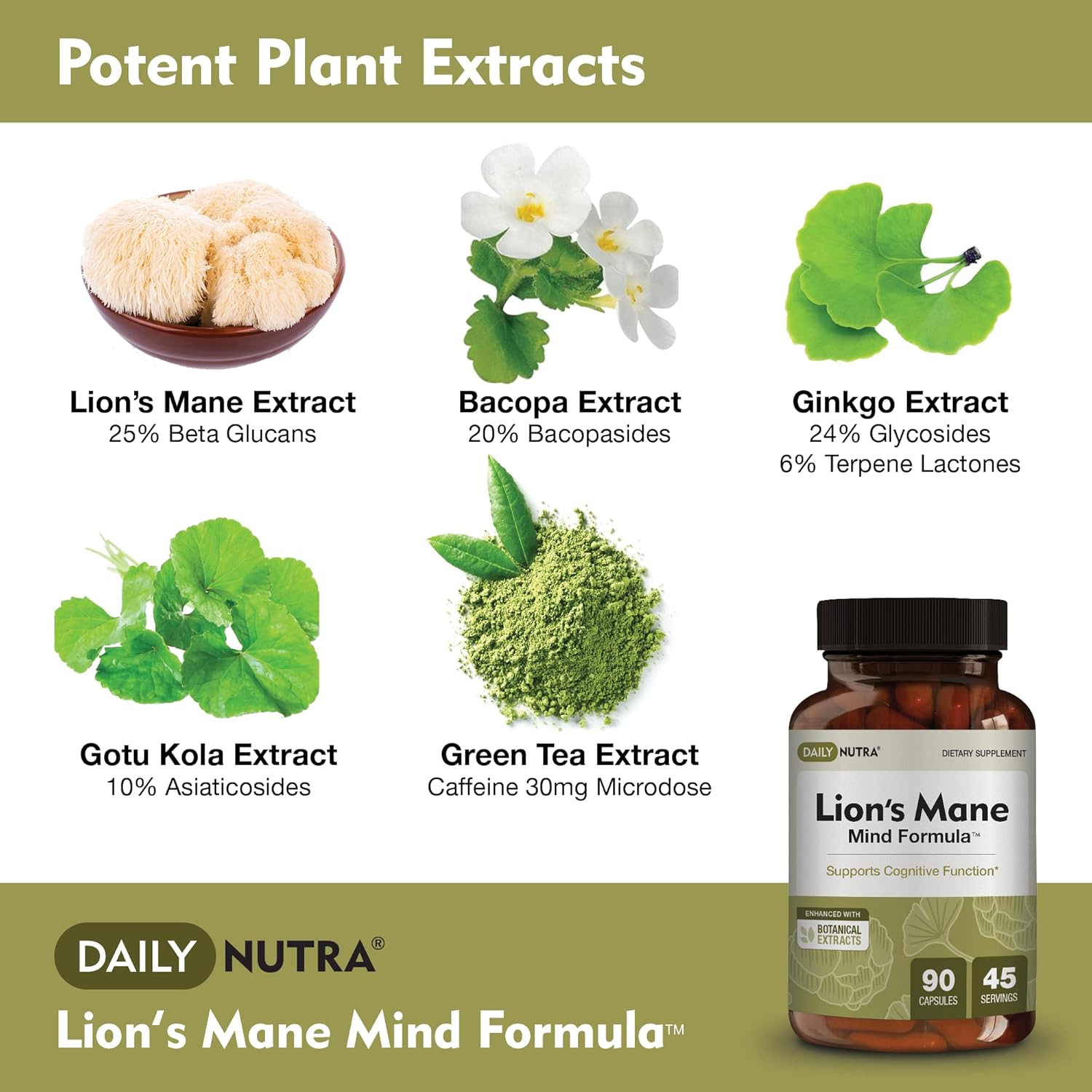 Organic Lion’s Mane Nootropic Supplement for Cognitive Health - Mushroom Extract with Bacopa, Gingko, and Gota Kola (90 Capsules)