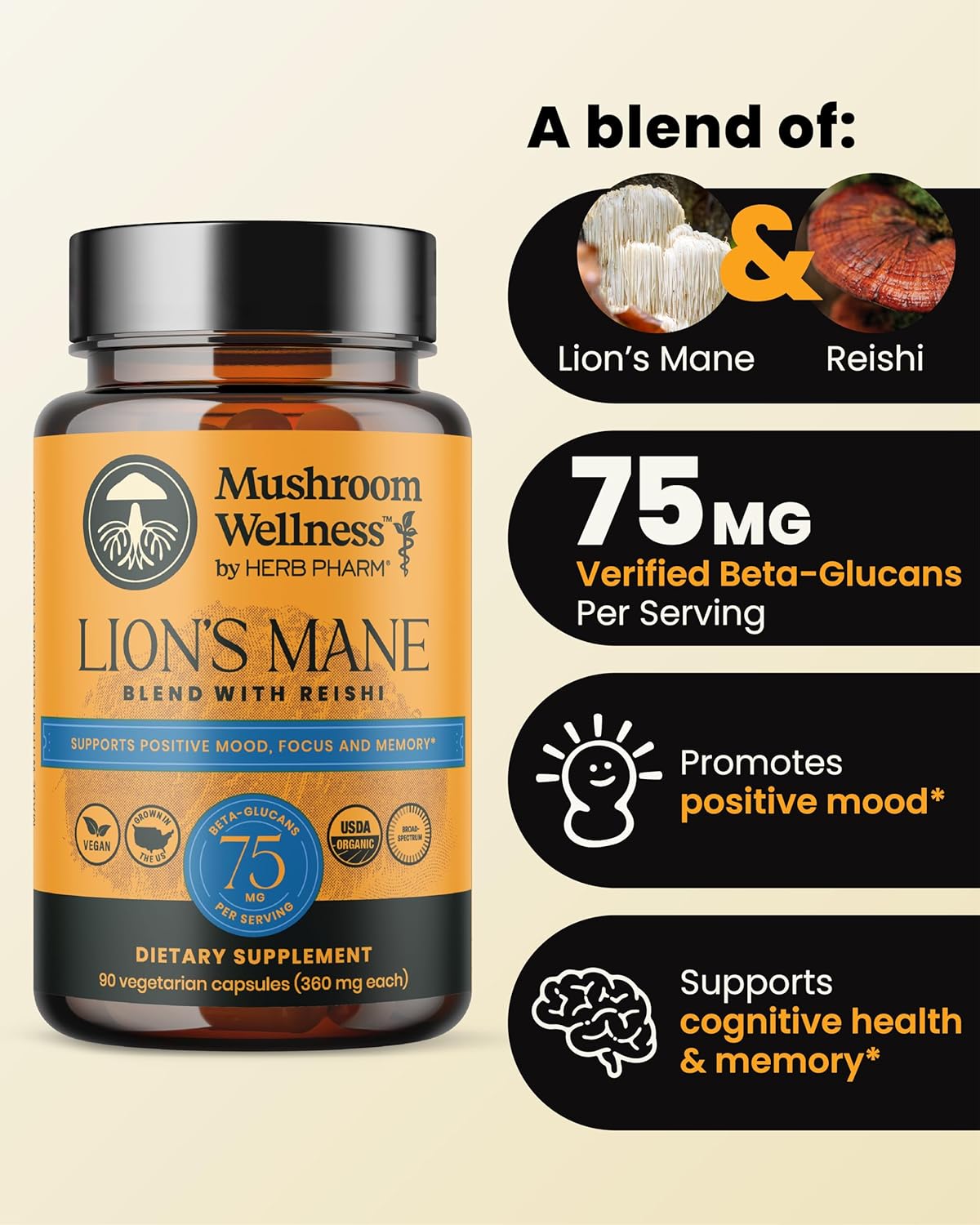 Organic Lion's Mane & Reishi Mushroom Capsules - Cognitive Health Support