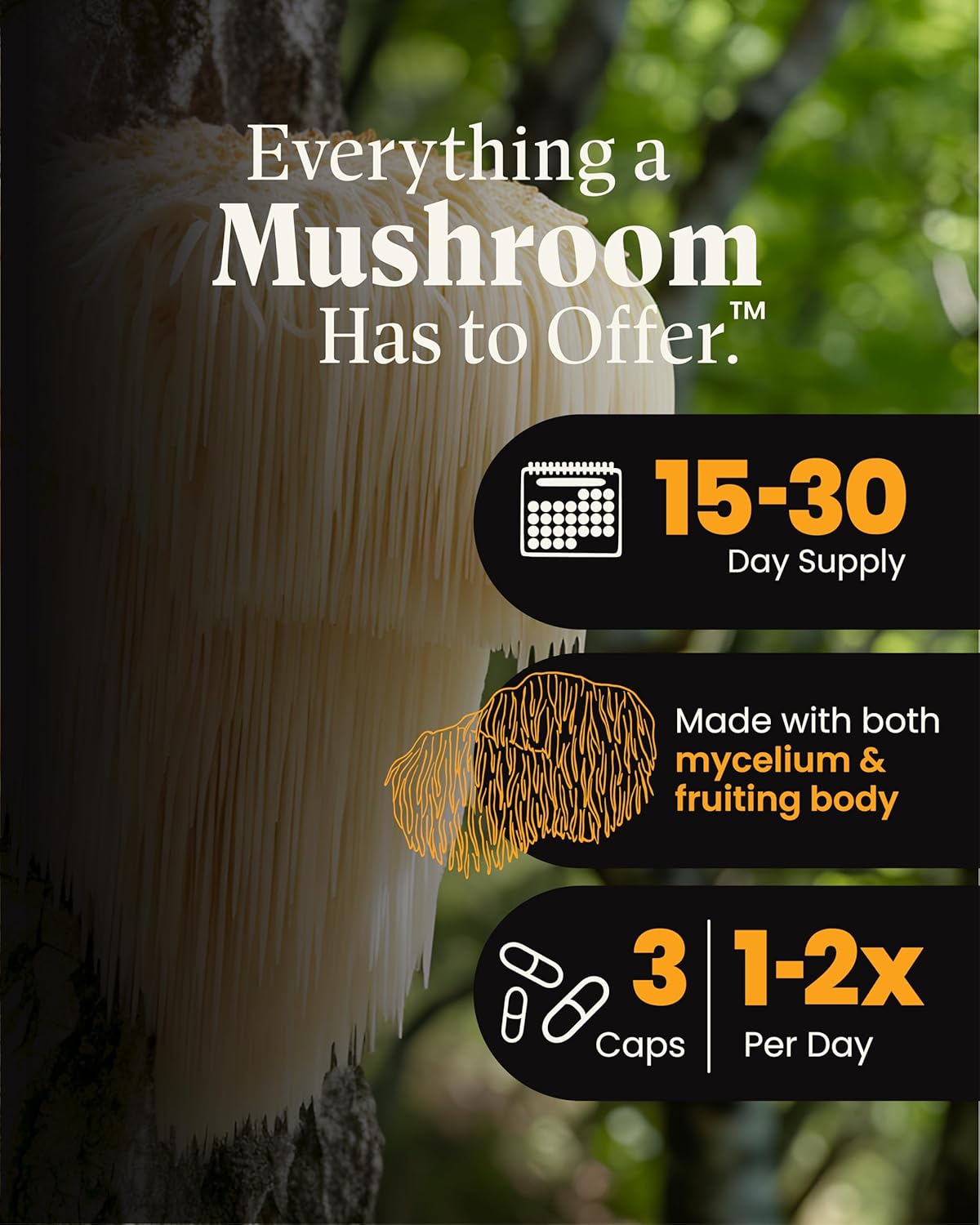 Organic Lion's Mane & Reishi Mushroom Capsules - Cognitive Health Support