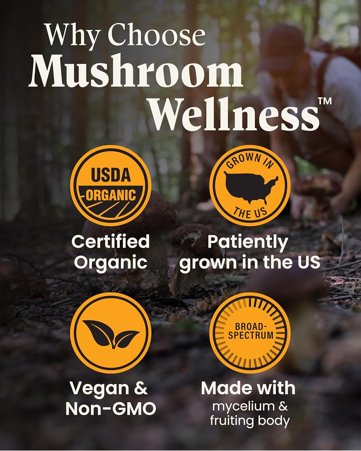 Organic Lion's Mane & Reishi Mushroom Capsules - Cognitive Health Support