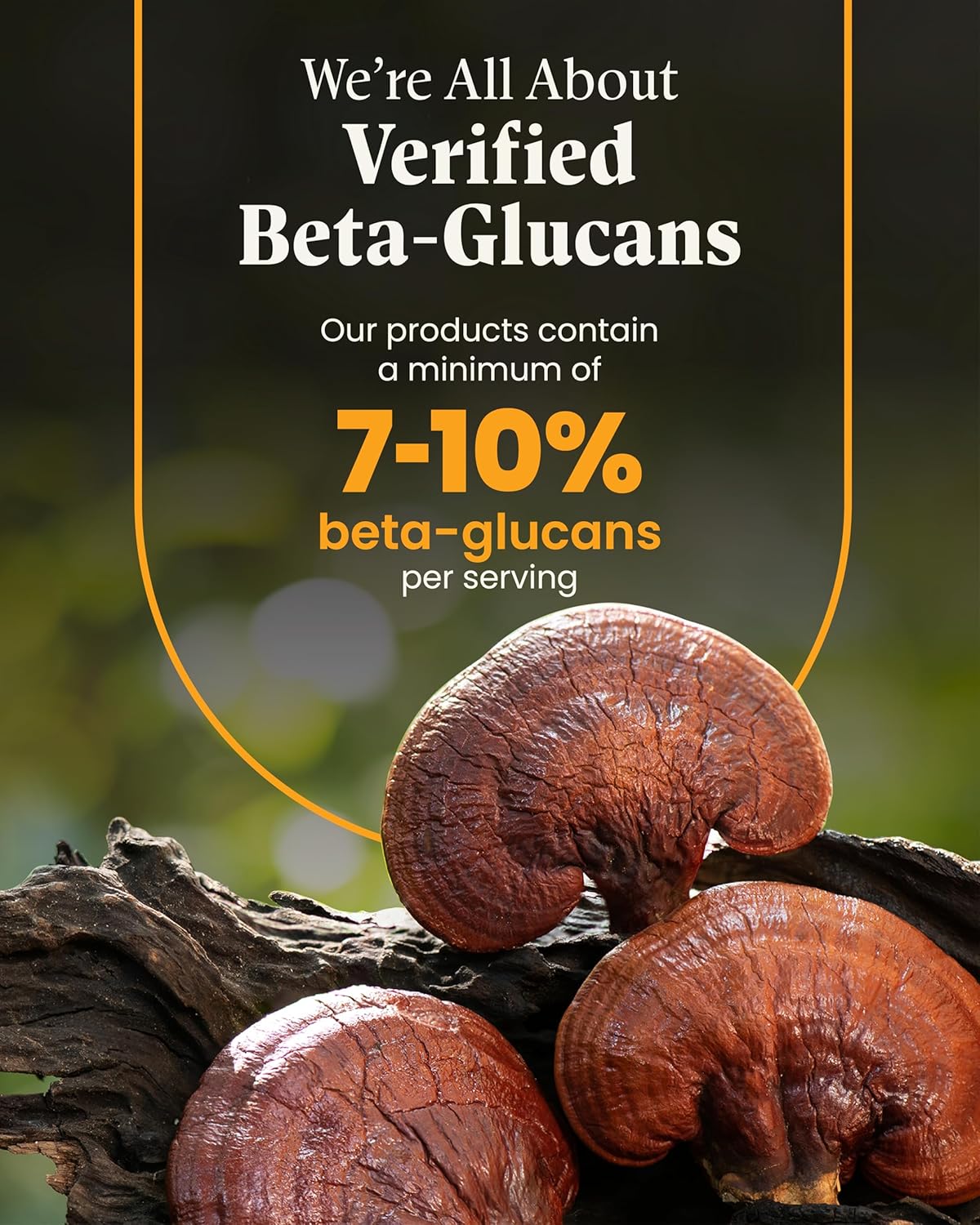 Organic Lion's Mane & Reishi Mushroom Capsules - Cognitive Health Support