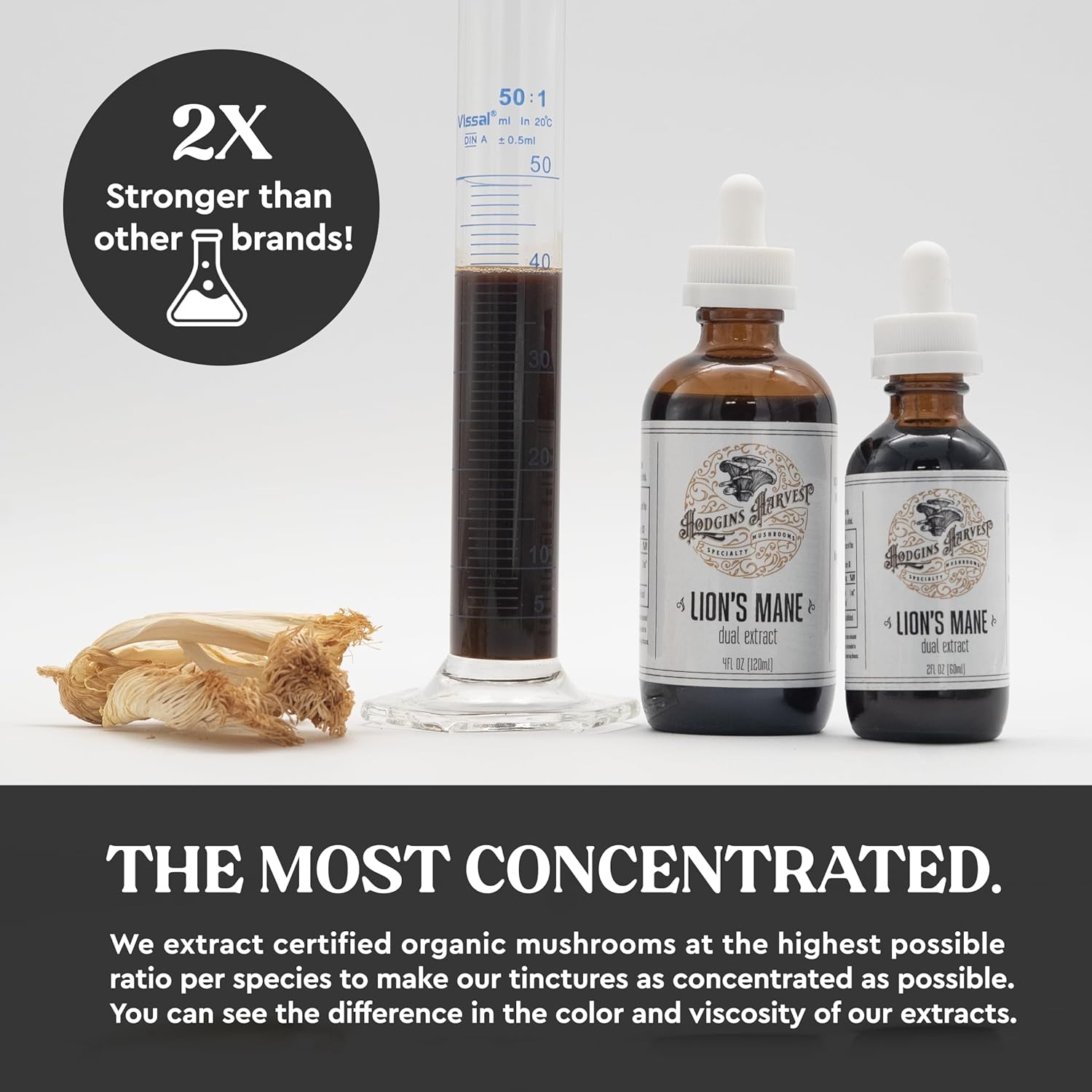 Organic Lion's Mane Tincture | Dual Extract | Extra-Concentrated | Grown on USA Farm | 2 fl oz