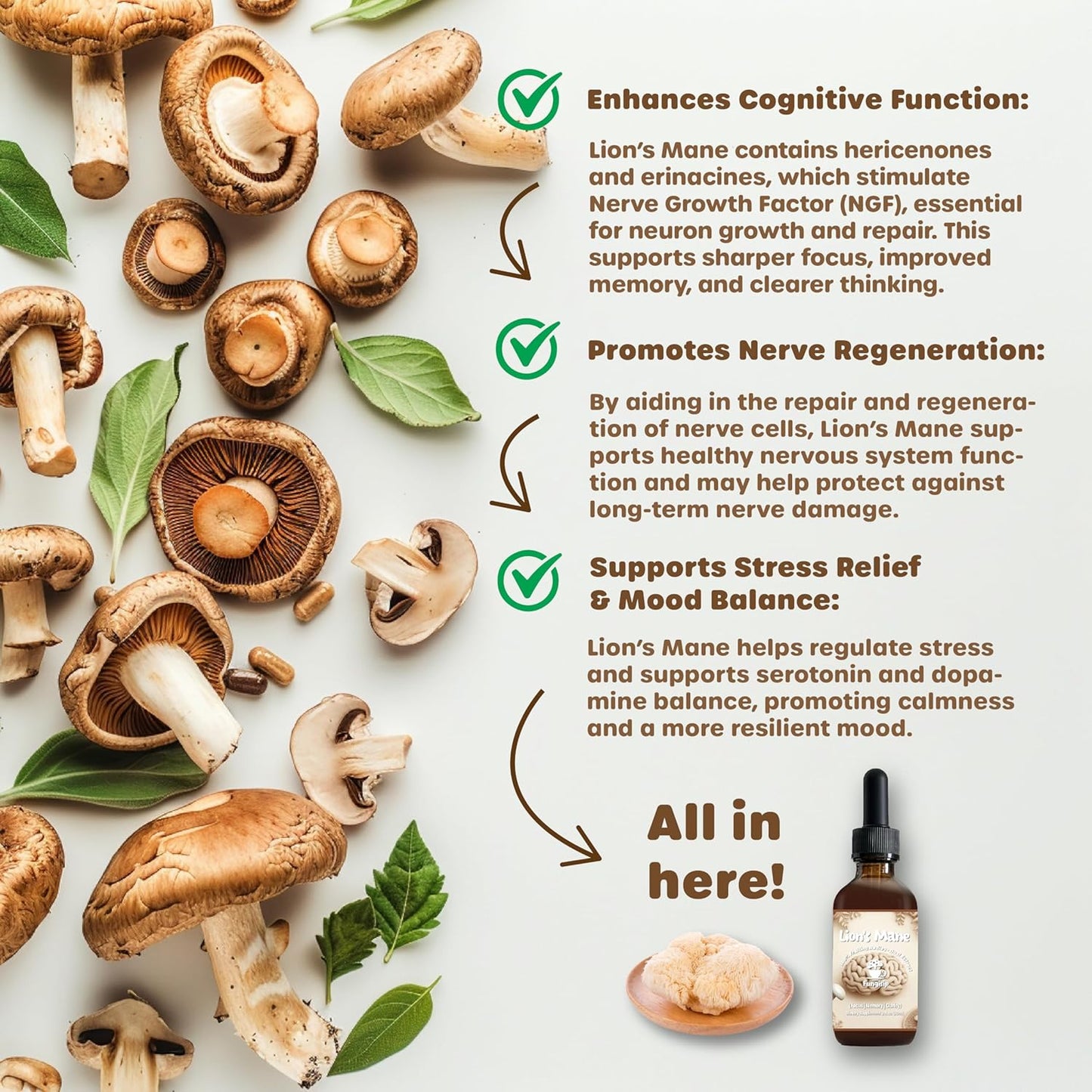 Organic Lion’s Mane Tincture for Enhanced Brain Function and Focus - 2 oz Liquid Mushroom Extract