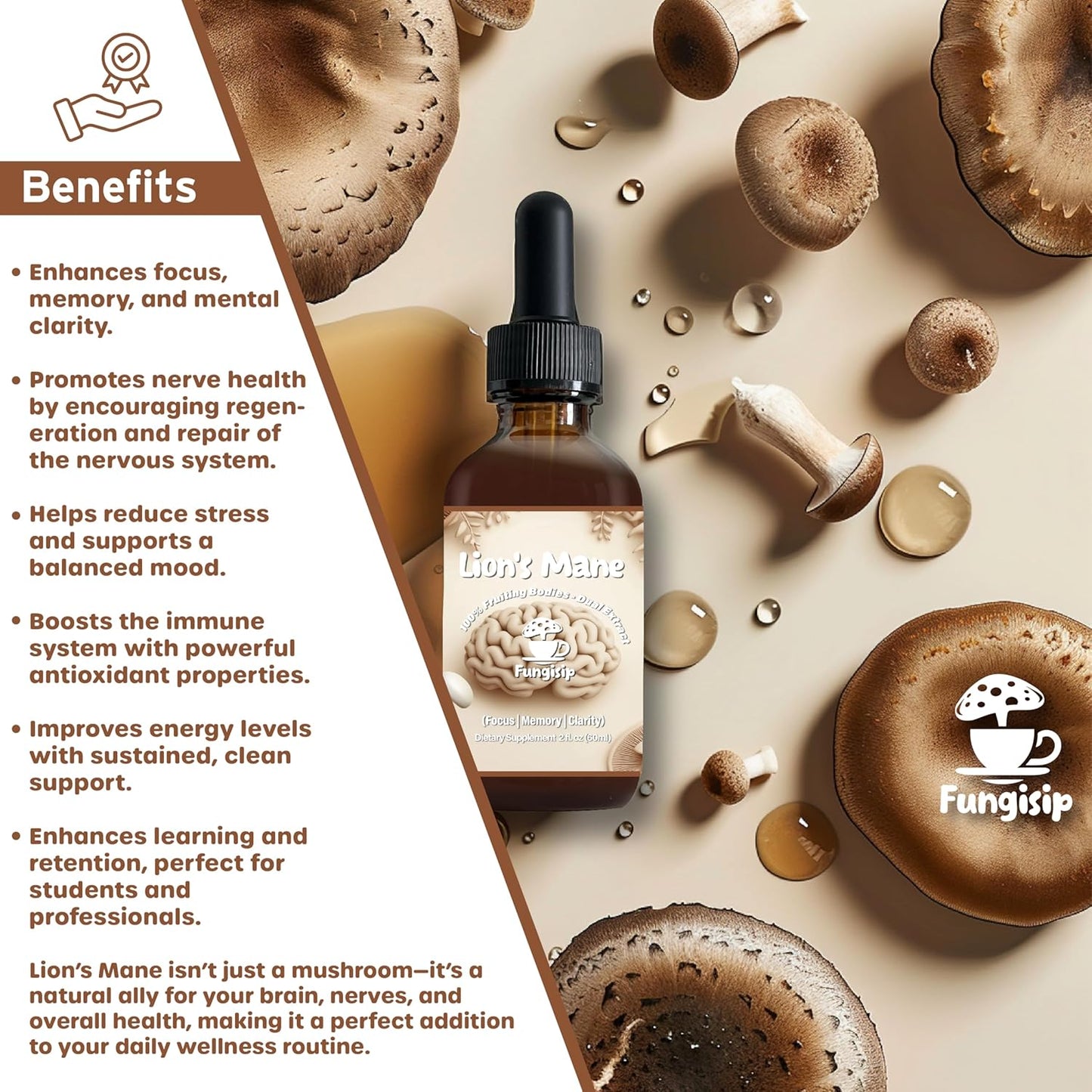 Organic Lion’s Mane Tincture for Enhanced Brain Function and Focus - 2 oz Liquid Mushroom Extract