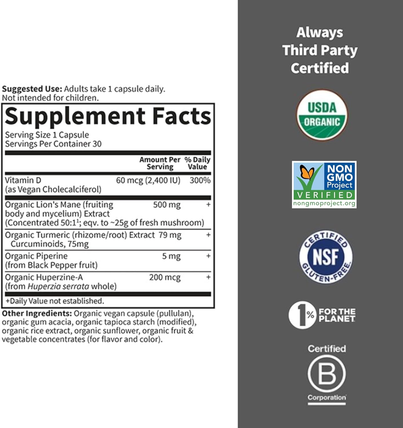 Organic Lion’s Mane & Turmeric Brain Health Supplement - Non-GMO, Gluten-Free, Mint Flavor for Memory, Focus, Healthy Brain Function