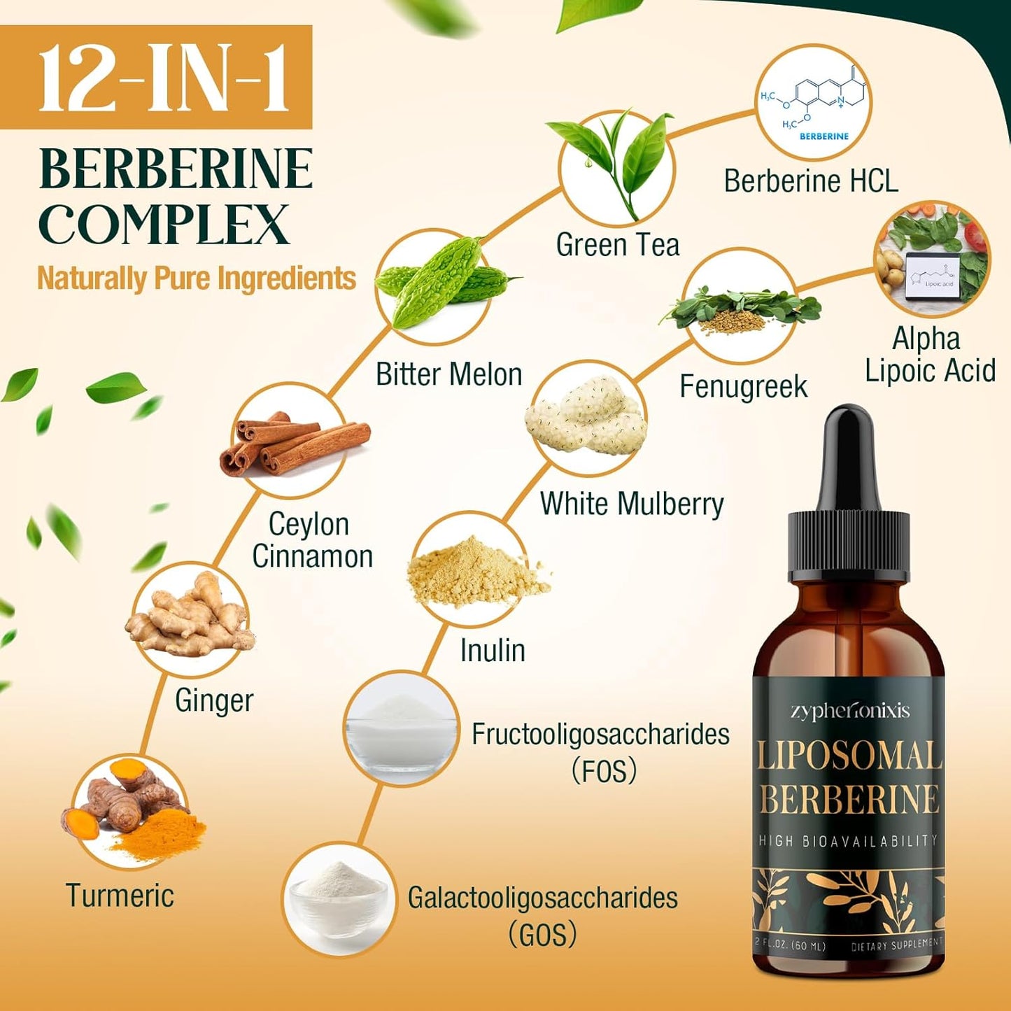 Organic Liposomal Berberine Drops Supplement 3000mg - High Absorption AMPK Activator with Ceylon Cinnamon & Ginger for Immune & Digestion - 2 fl oz
