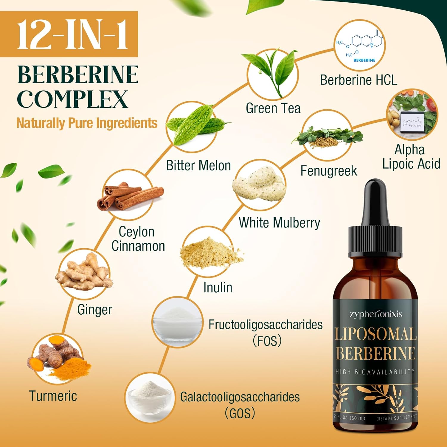 Organic Liposomal Berberine Drops Supplement 3000mg - High Absorption AMPK Activator with Ceylon Cinnamon & Ginger for Immune & Digestion - 2 fl oz