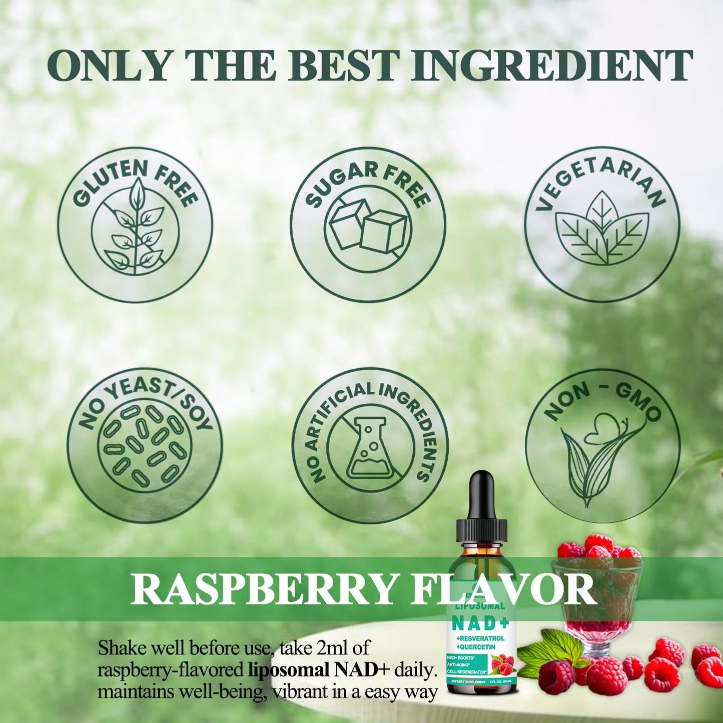 Organic Liposomal NAD Resveratrol Supplement for Longevity & Energy: Women & Men, Nicotinamide Riboside 900mg, TMG, Quercetin, Vitamin B3 - WellVeraVida Anti-Aging Focus
