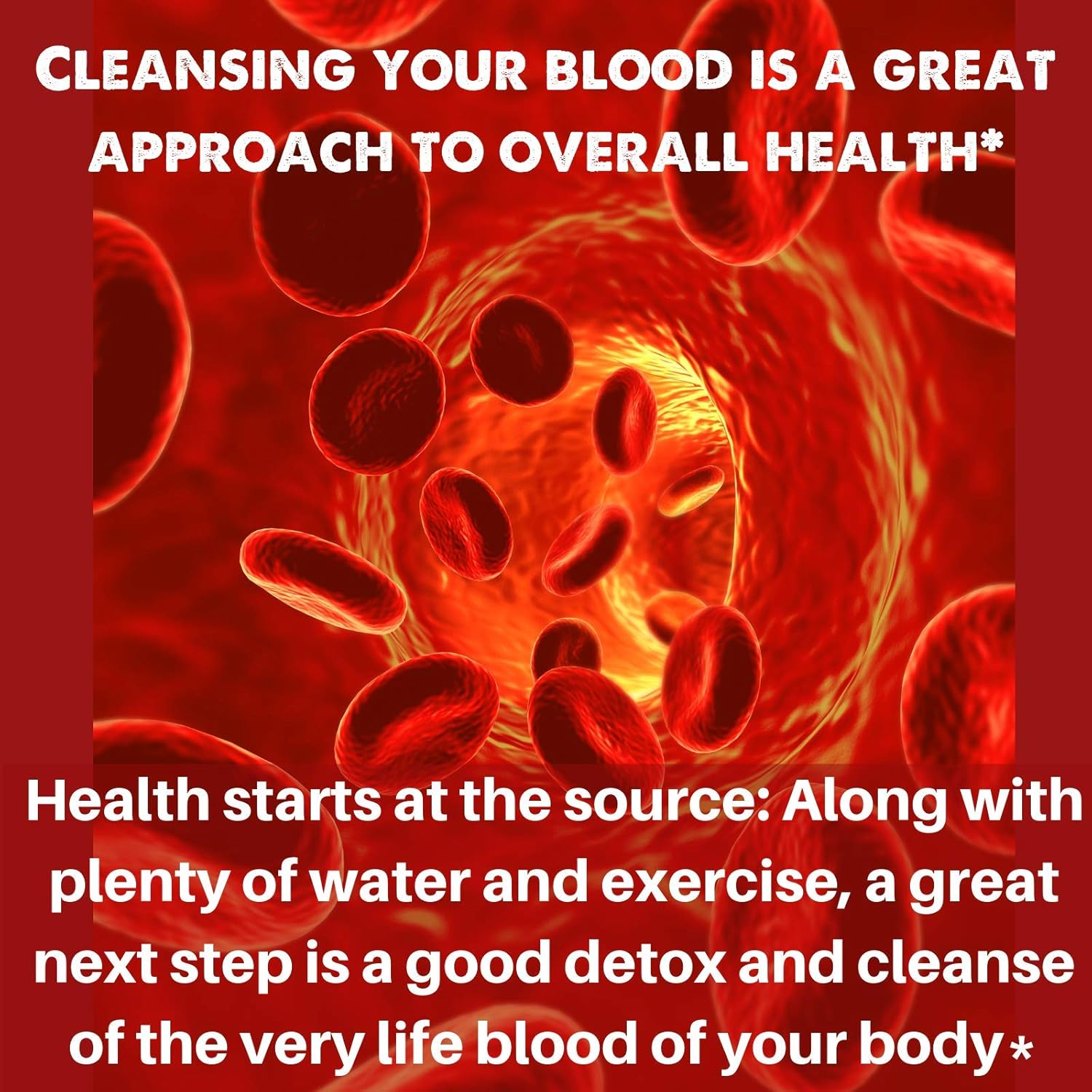 Organic Liquid Blood Cleanser Supplement - SpeedyVite® (2 fl oz) Drops