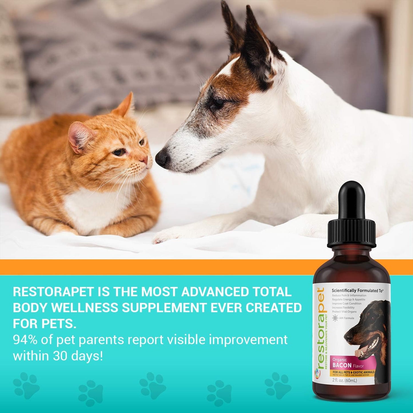 Organic Liquid Multivitamin 4-Pack for Dogs & Cats | Joint Pain Relief | Anti Inflammatory Supplement | Vet Approved & Non-GMO