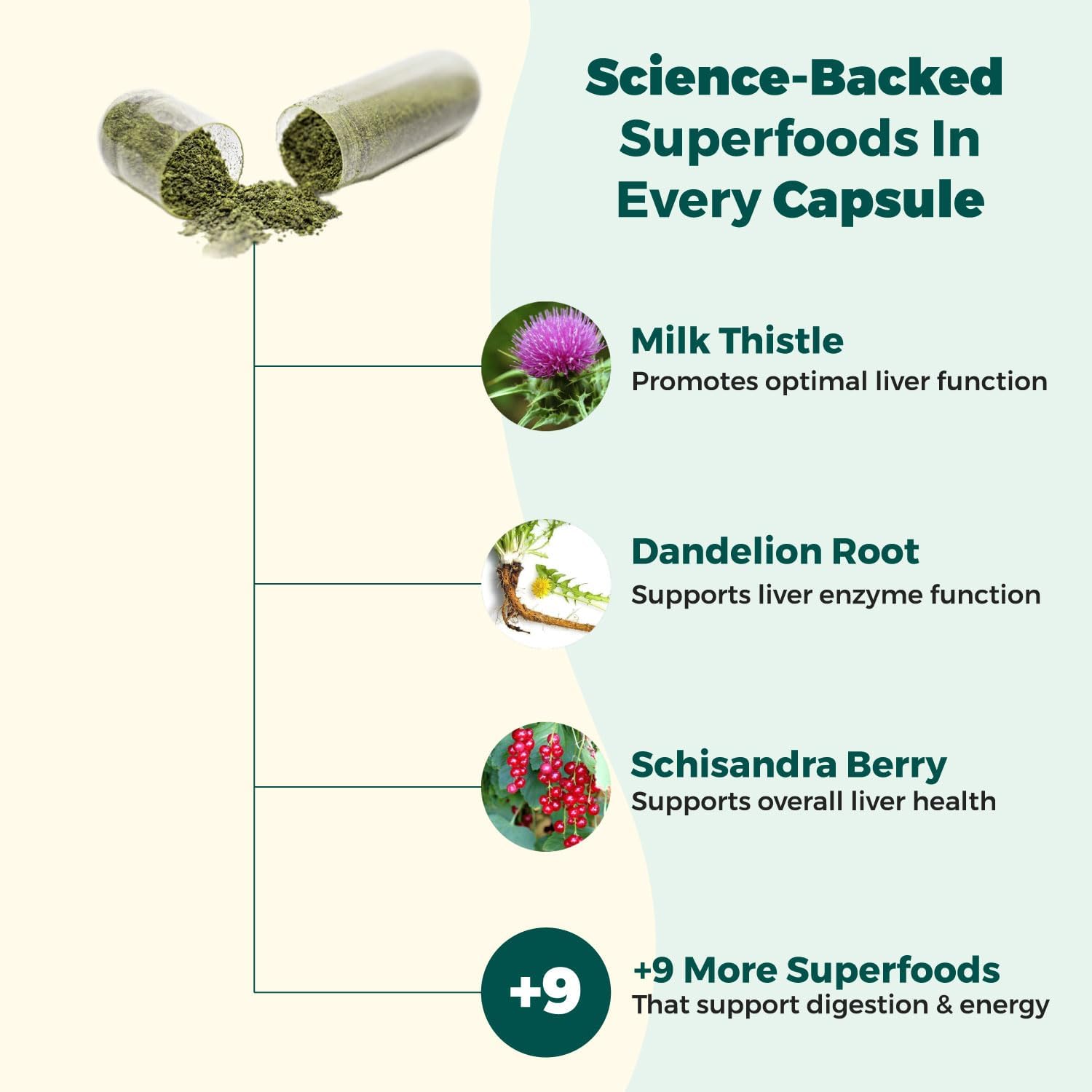 Organic Liver Health and Detox Blend with 12 Superfoods - Milk Thistle, Dandelion Root, Burdock Root - Supports Detox, Digestive Health - EdenBoost AlphaCleanse