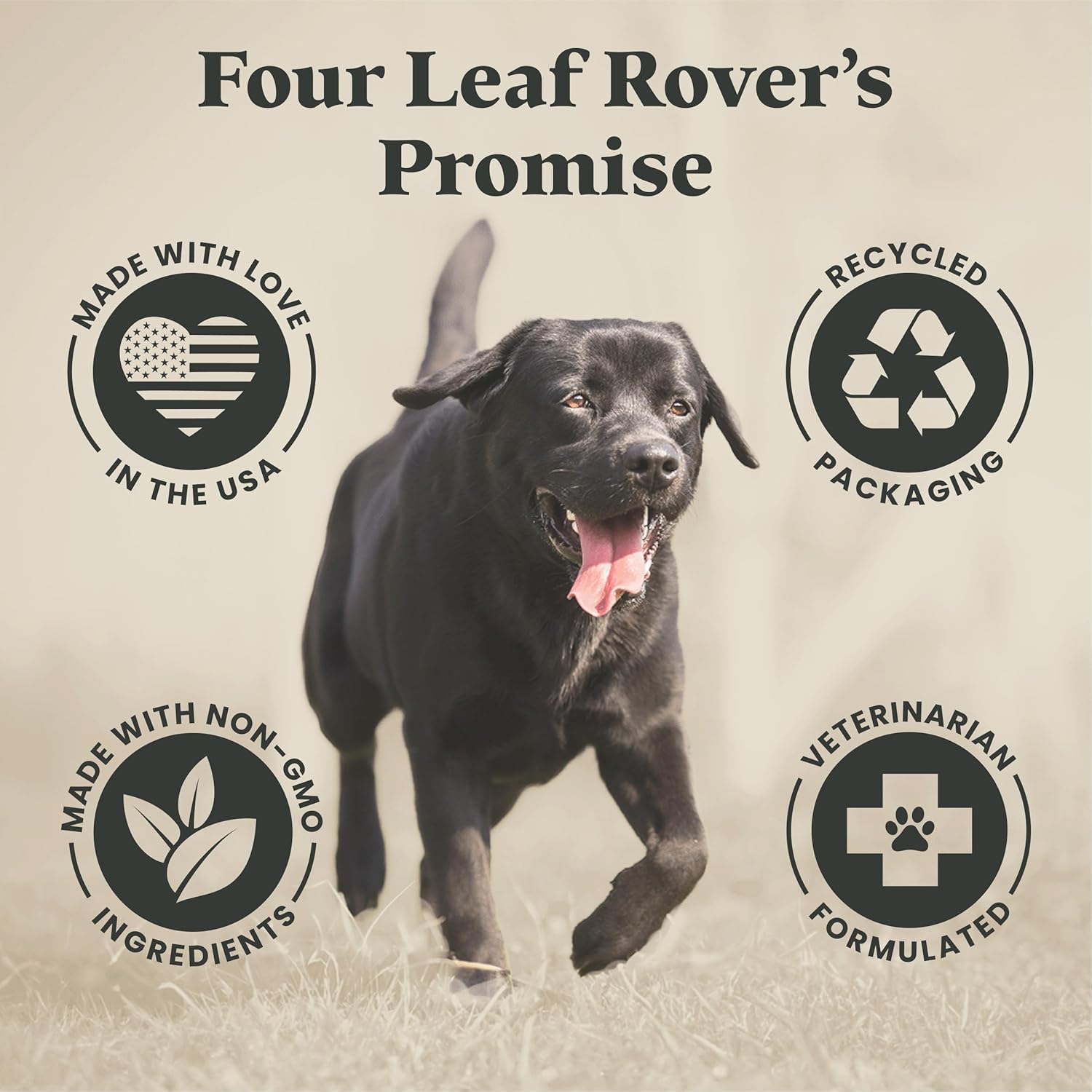 Organic Liver Support for Dogs with Milk Thistle, Mushrooms, & Kidney Support