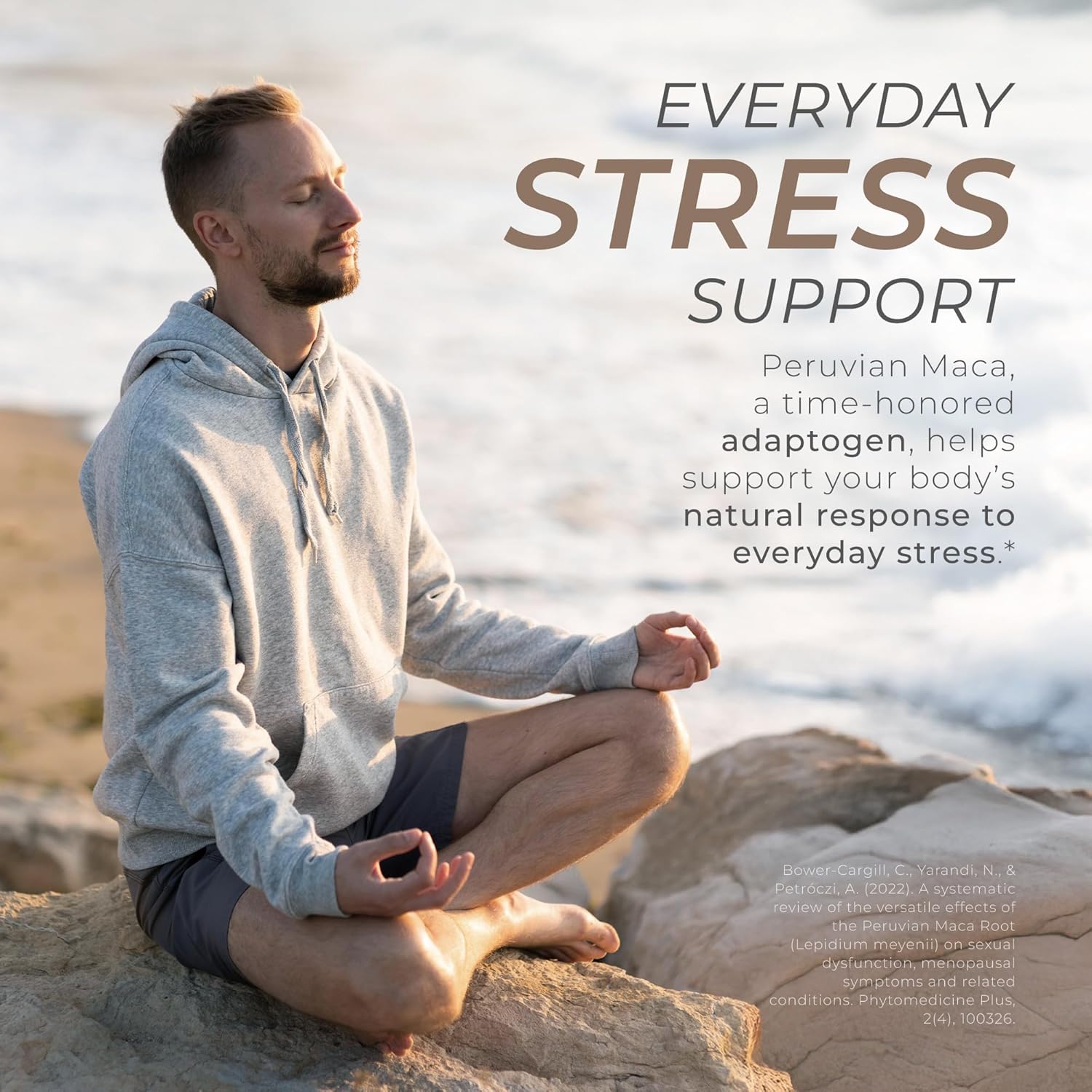 Organic Maca Root Capsules for Energy & Hormone Balance | 1300mg per Serving | Natural Adaptogen Supplement | Vegan & Non-GMO | Made in USA