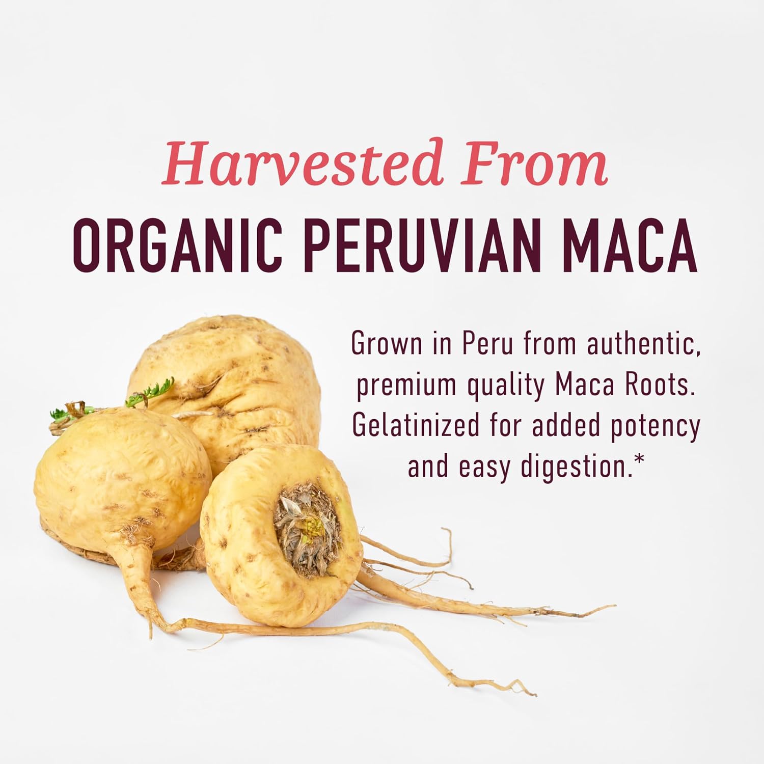 Organic Maca Root Capsules for Women | 2250MG Extra Strength Peruvian Maca Blend | Supports Energy & Hormone Balance | 120 Ct