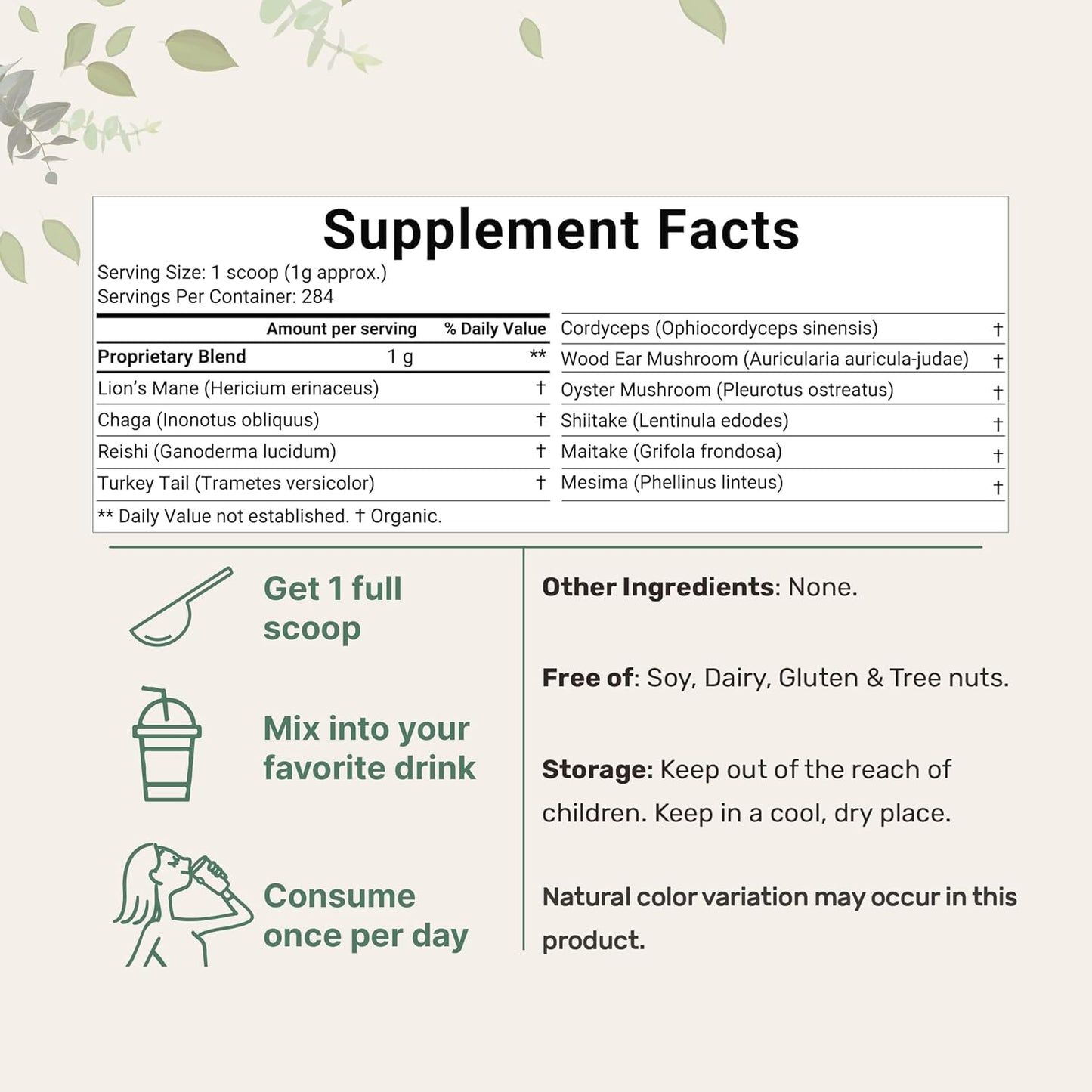 Organic Mega Mushroom 10 in 1 Complex Formula Powder - Immune System Booster - 10oz - Filler Free - Vegan - Chaga, Lions Mane, Cordyceps, Reishi & More