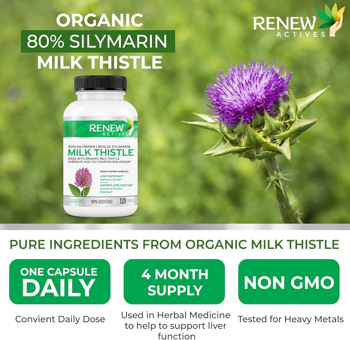 Organic Milk Thistle Capsules for Liver Health - 175mg Seed Extract, Silymarin Formula, Antioxidants - 120 Veggie Capsules