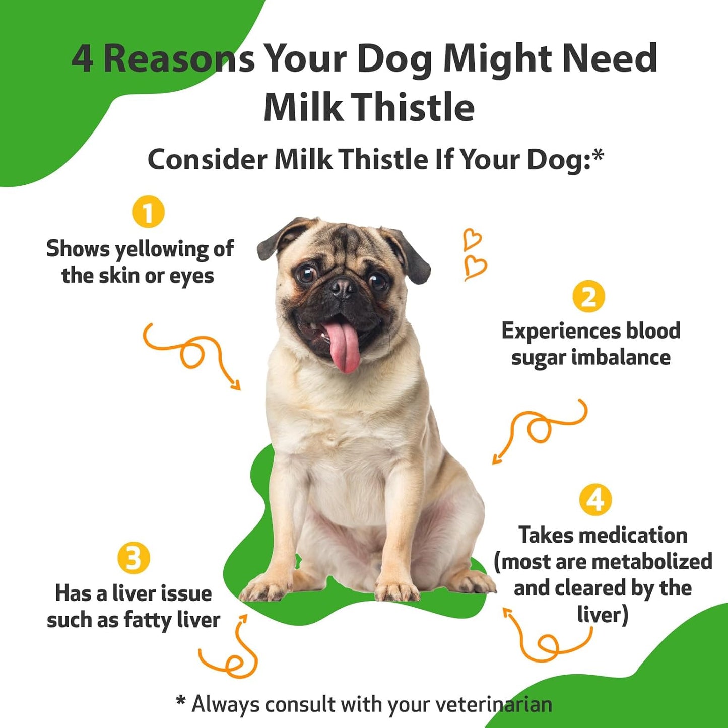 Organic Milk Thistle for Dogs - Supports Liver Health and Detoxification - Herbal Supplement 2 oz