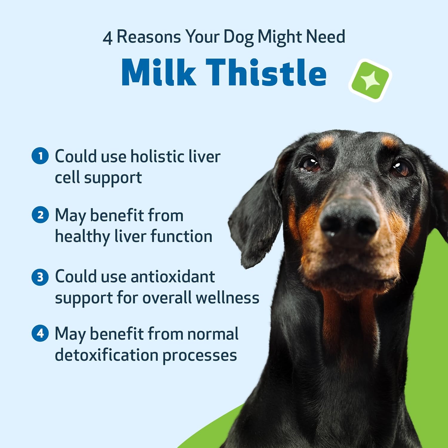 Organic Milk Thistle for Dogs - Supports Liver Health, Detoxification, Antioxidants - 4 oz Herbal Supplement - Veterinarian Formulated