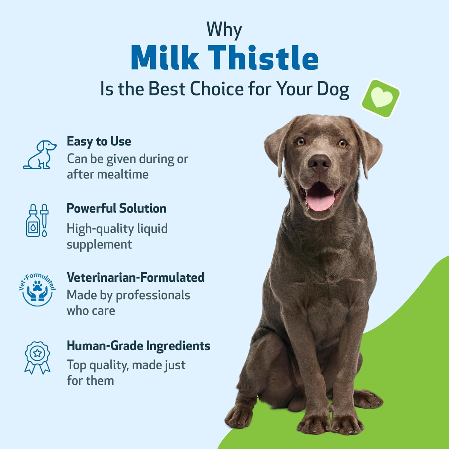 Organic Milk Thistle for Dogs - Supports Liver Health, Detoxification, Antioxidants - 4 oz Herbal Supplement - Veterinarian Formulated