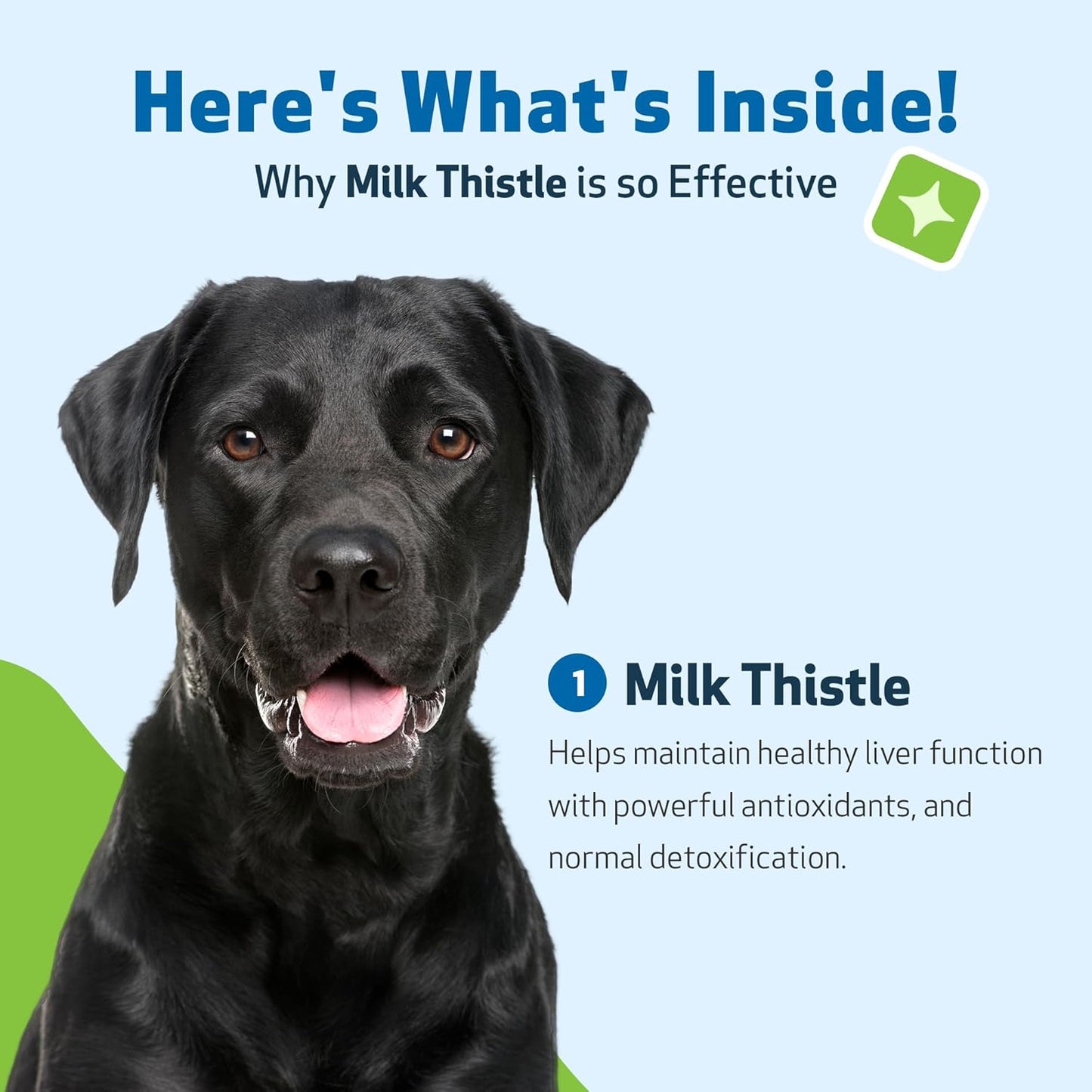 Organic Milk Thistle for Dogs - Supports Liver Health, Detoxification, Antioxidants - 4 oz Herbal Supplement - Veterinarian Formulated