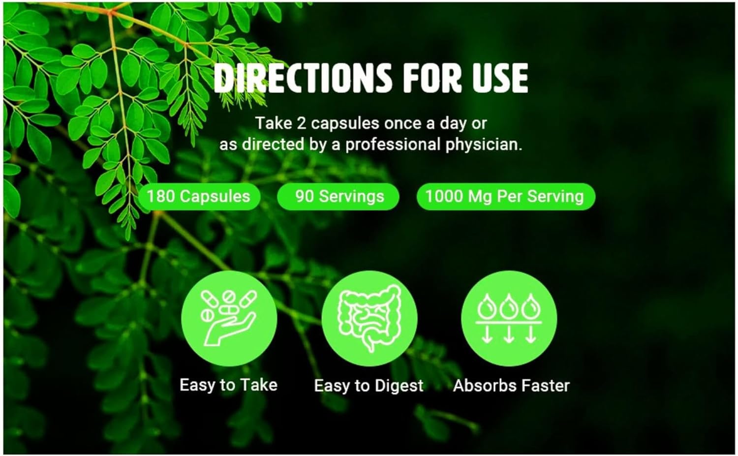 Organic Moringa Tablets with Turmeric & Black Pepper - 300 Pills, 5 Month Supply - 1000 Mg per Serving - Digestive Health Support - Pack of 1